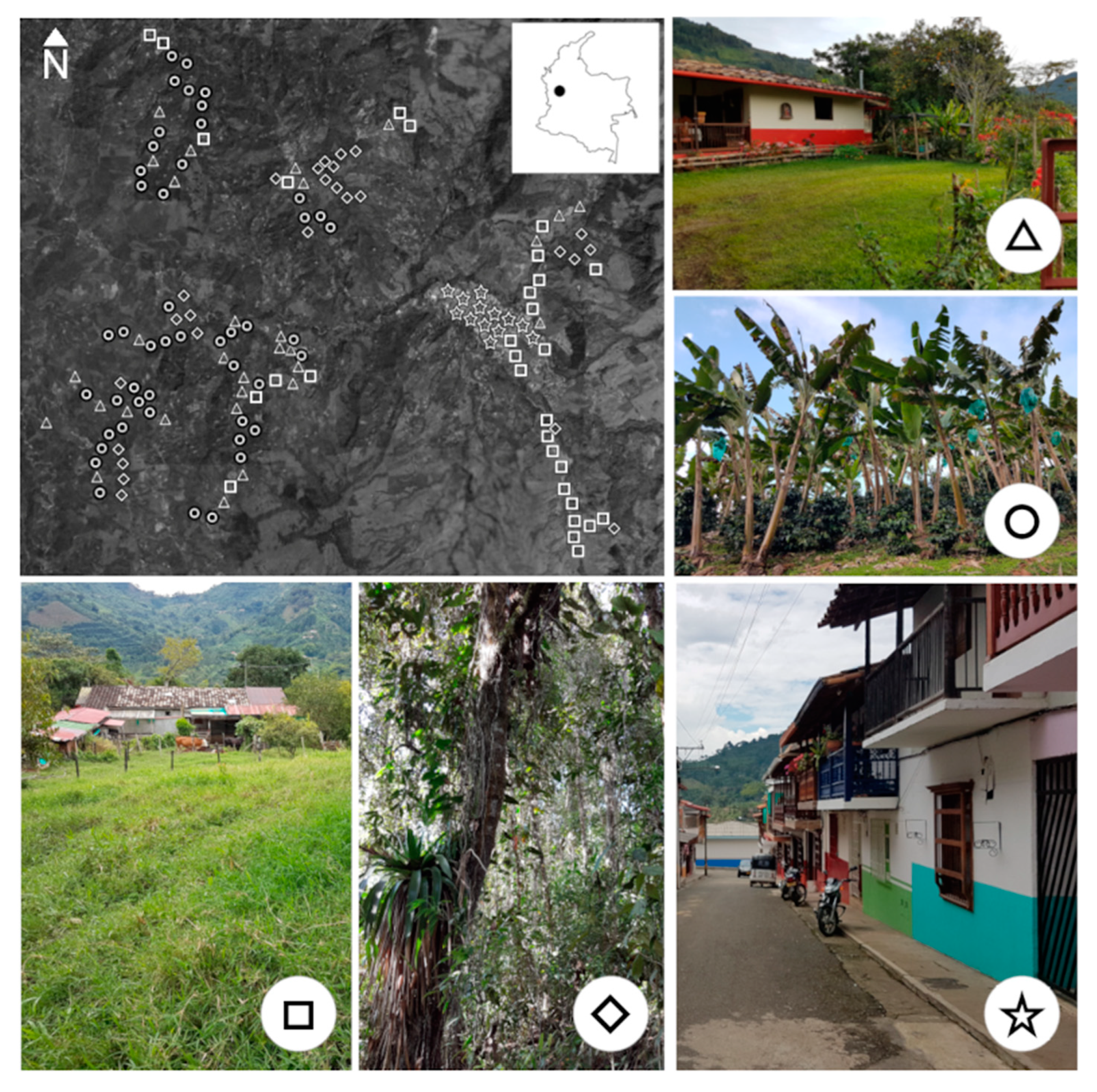 Sustainability 14 04789 g001