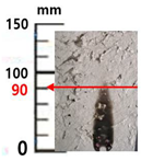 Sustainability 14 04798 i006