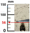 Sustainability 14 04798 i008