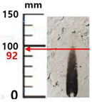 Sustainability 14 04798 i016