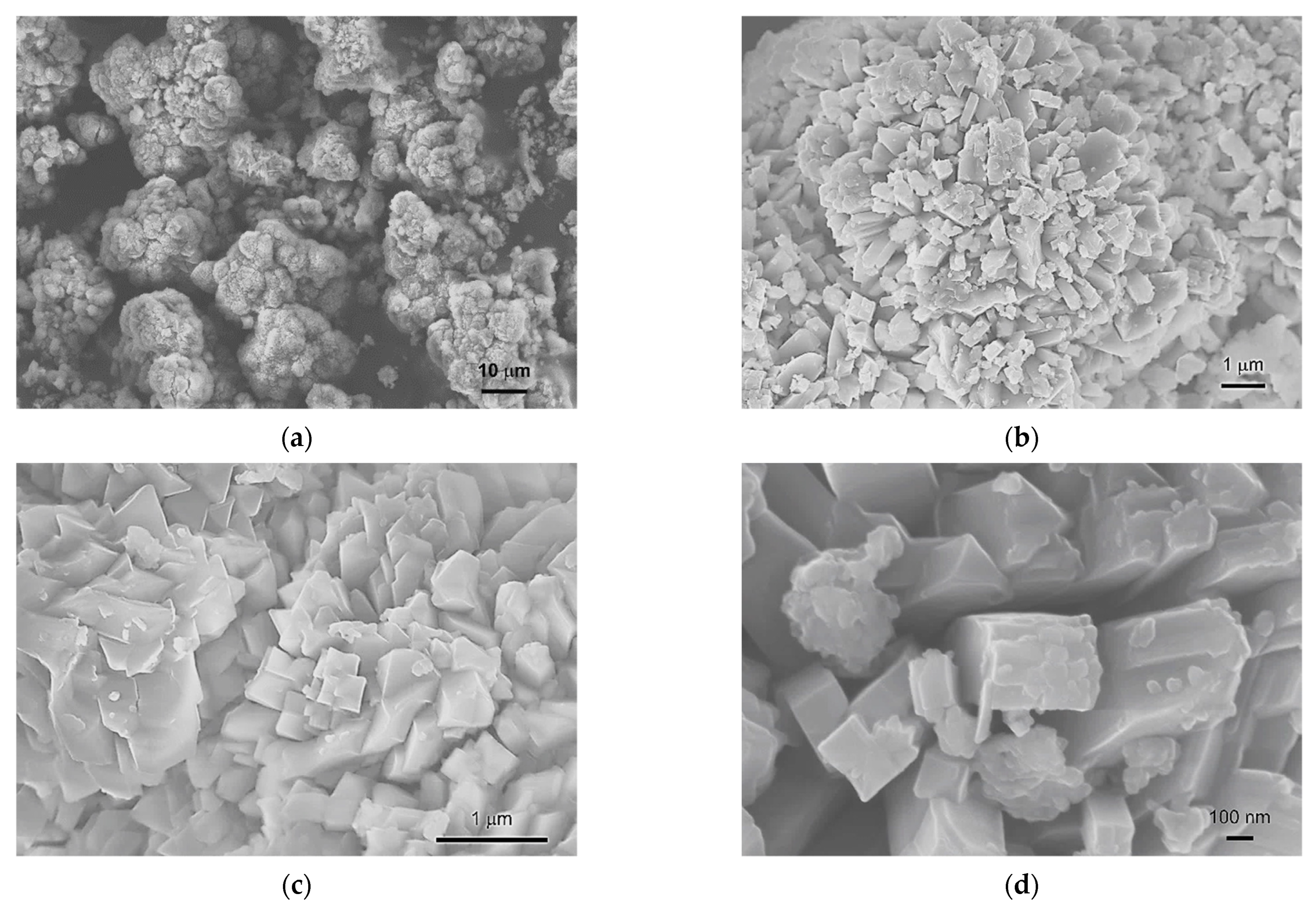 Sustainability 14 04887 g005