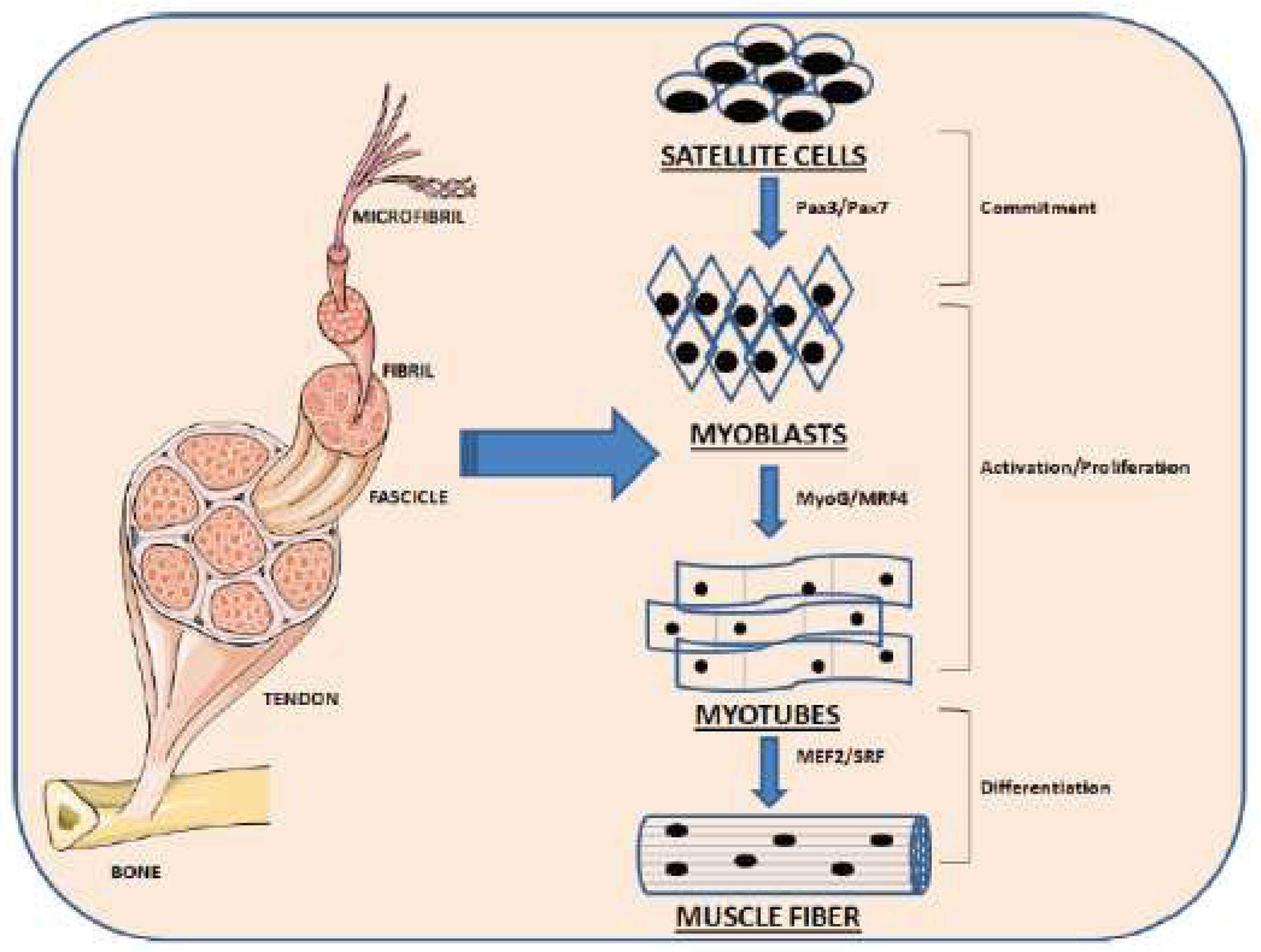 Sustainability 14 04910 g001 Sustainability 14 04910 g001