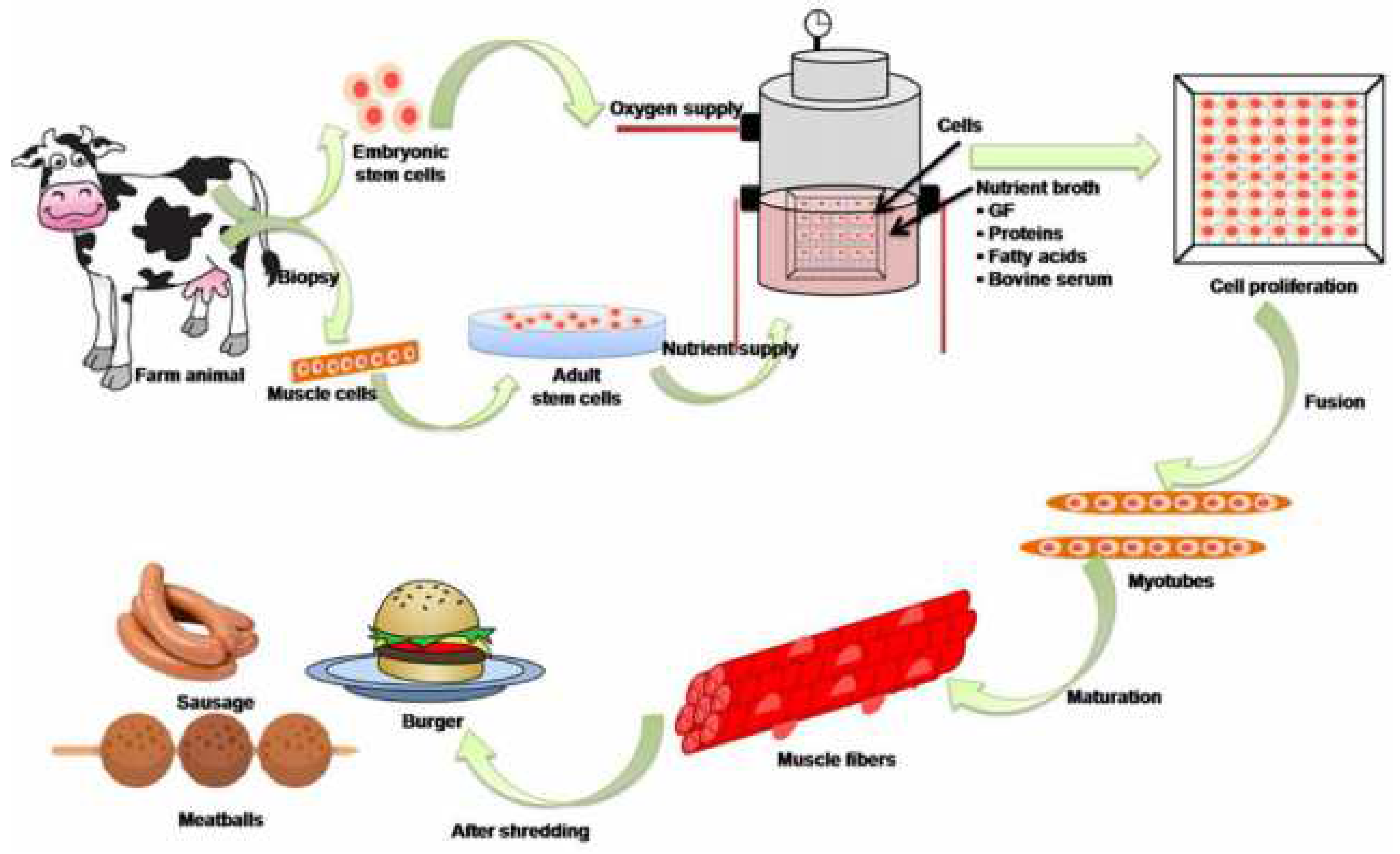 Sustainability 14 04910 g003 Sustainability 14 04910 g003