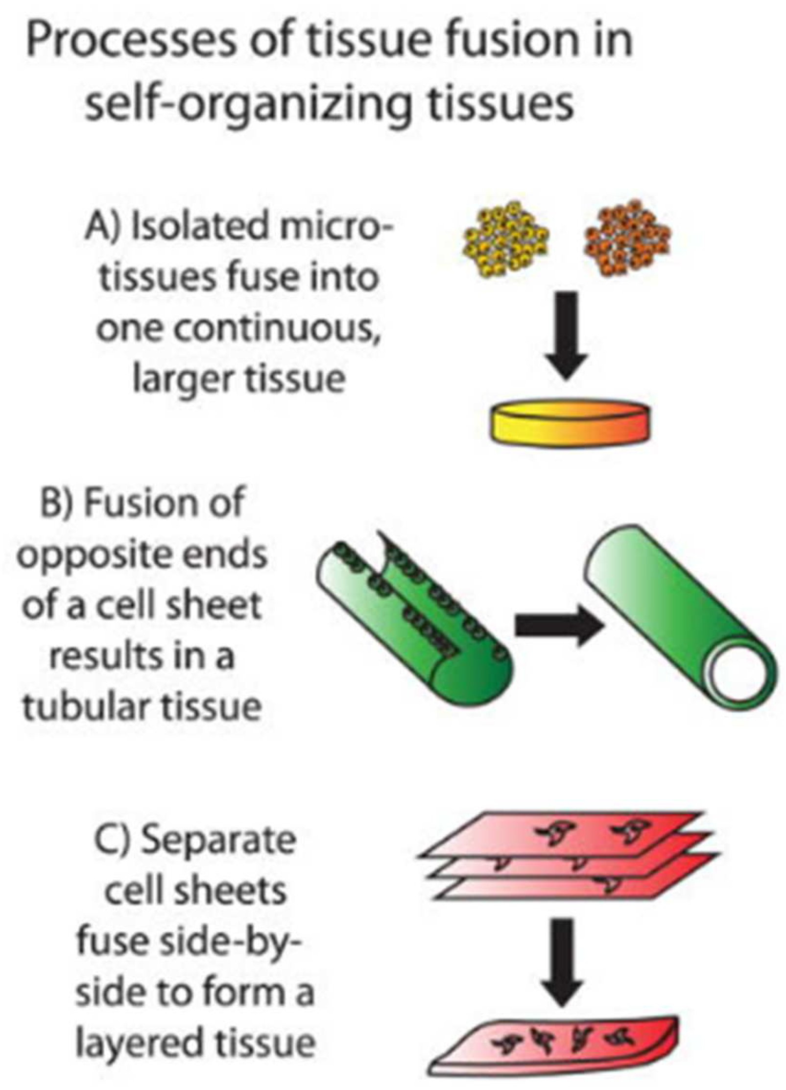 Sustainability 14 04910 g004 Sustainability 14 04910 g004
