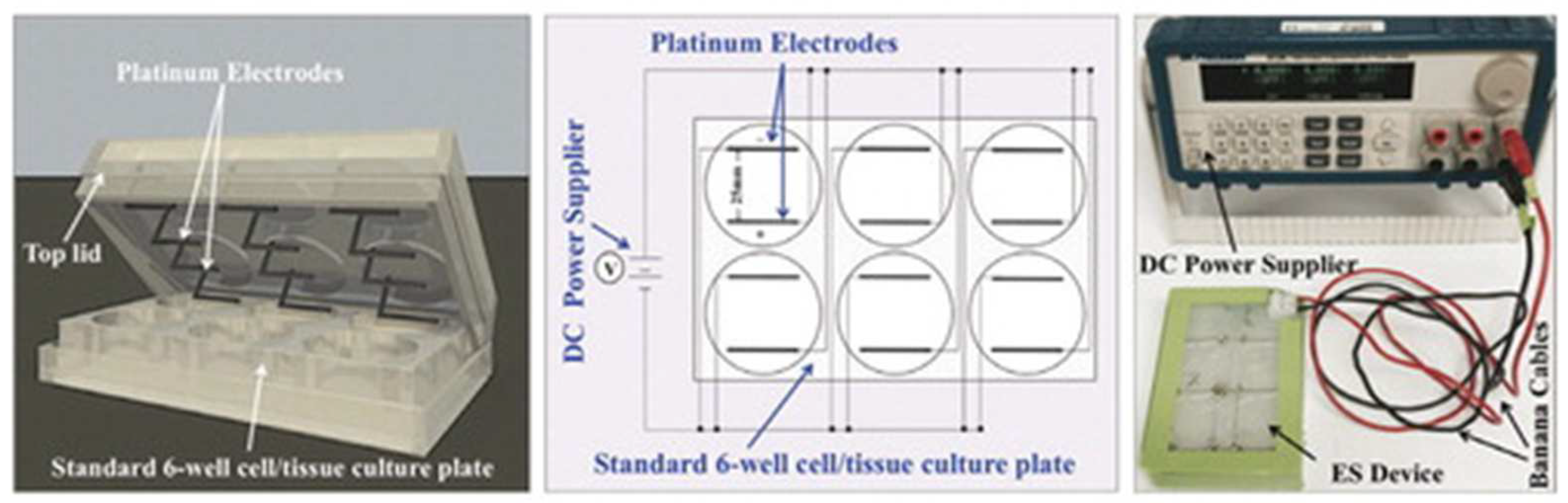 Sustainability 14 04910 g007 Sustainability 14 04910 g007