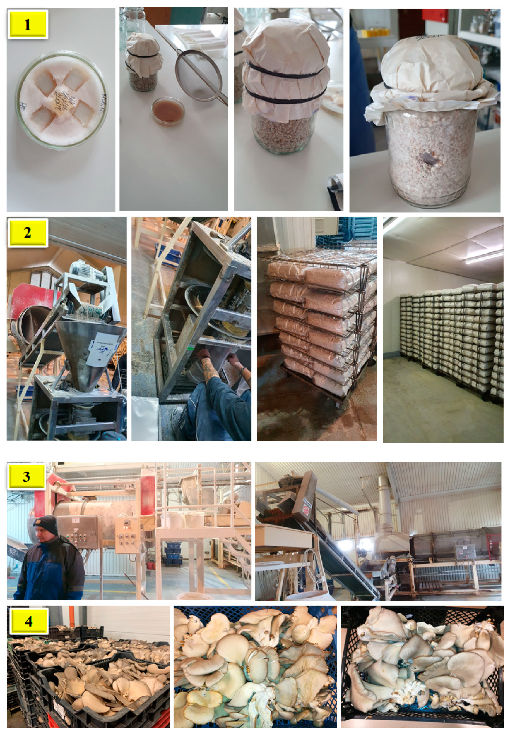 Sustainability 14 04941 g001 Sustainability 14 04941 g001