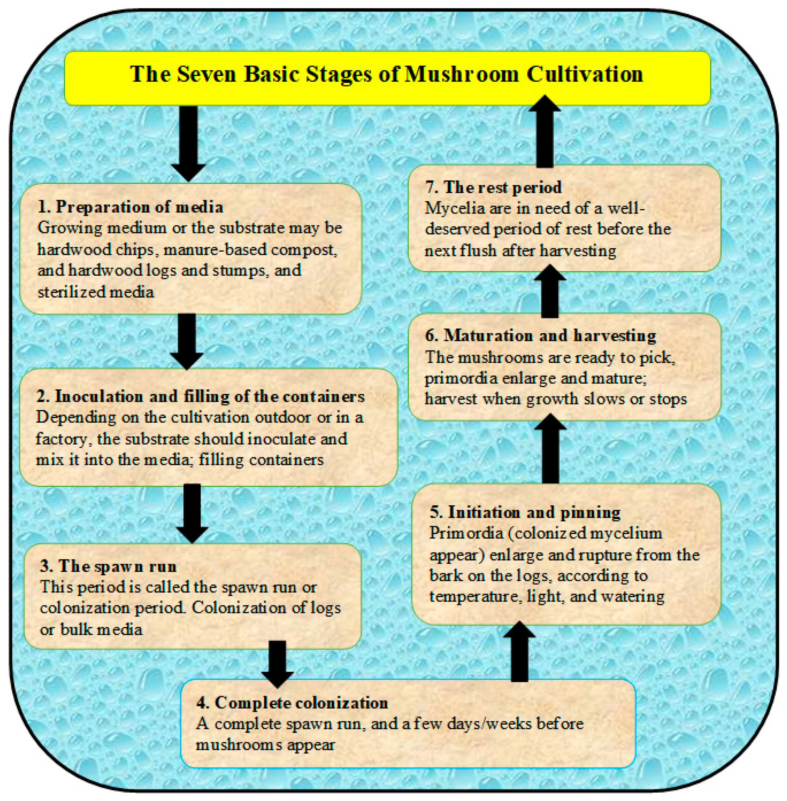Sustainability 14 04941 g002 Sustainability 14 04941 g002