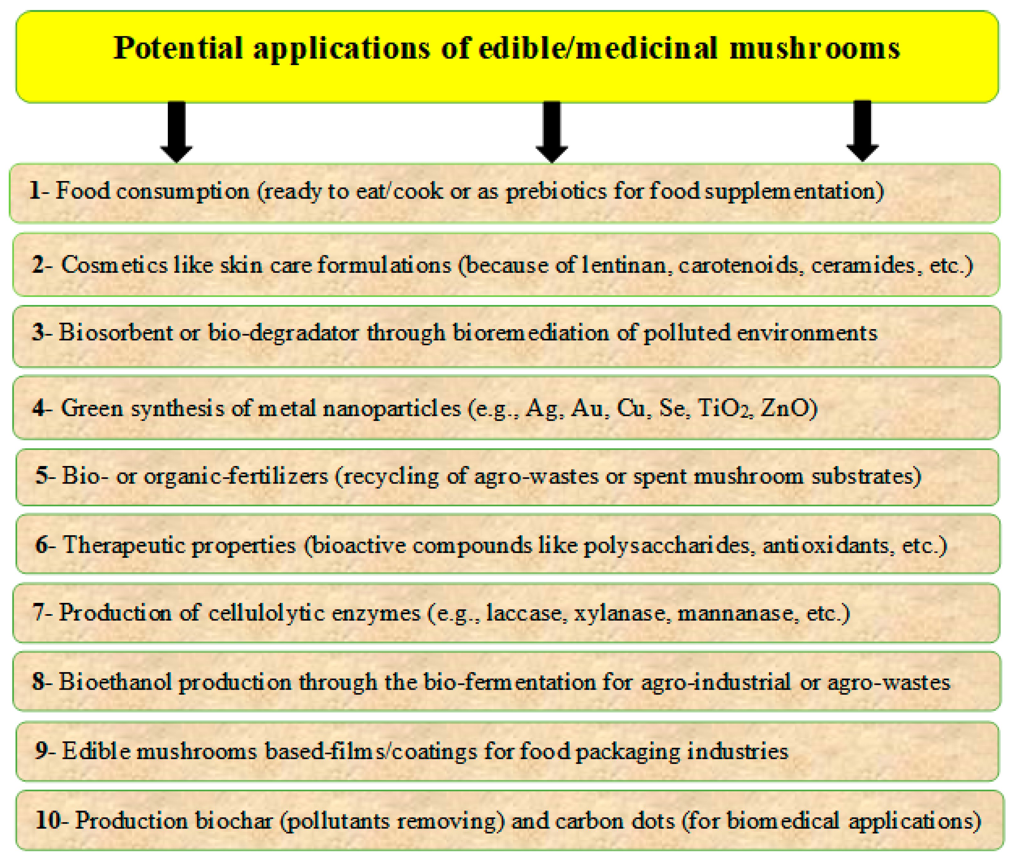 Sustainability 14 04941 g003 Sustainability 14 04941 g003