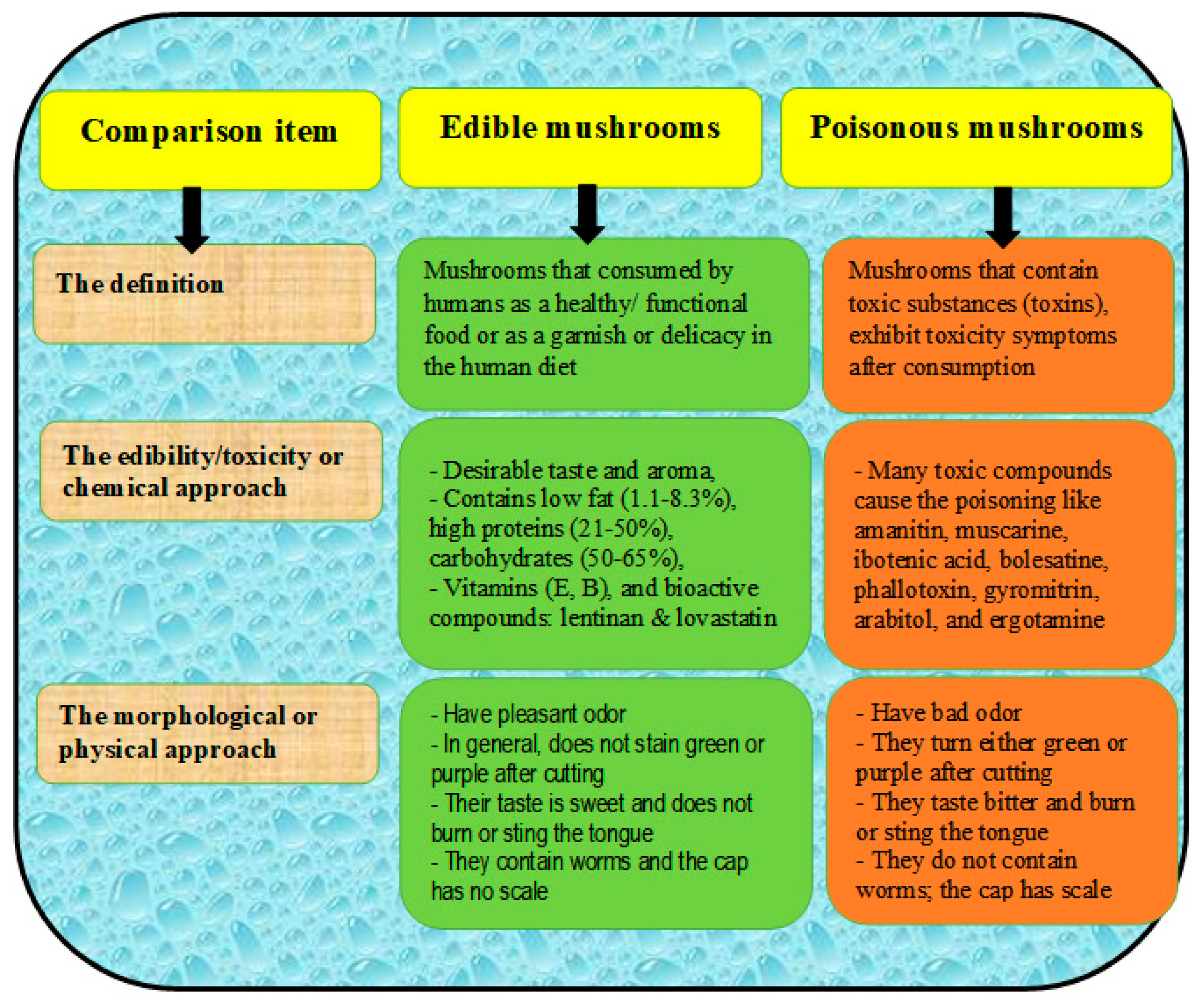 Sustainability 14 04941 g005 Sustainability 14 04941 g005