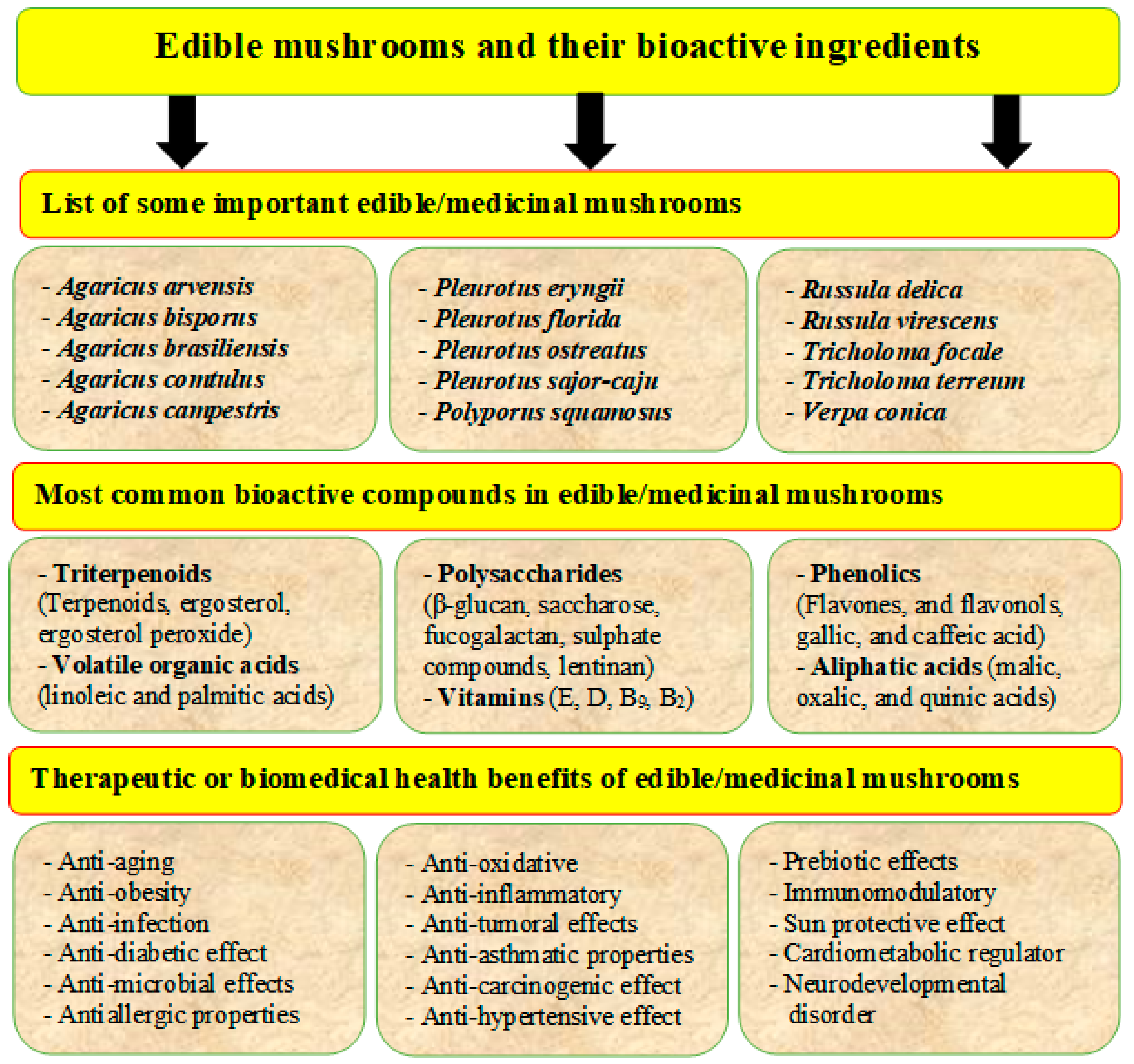 Sustainability 14 04941 g006 Sustainability 14 04941 g006