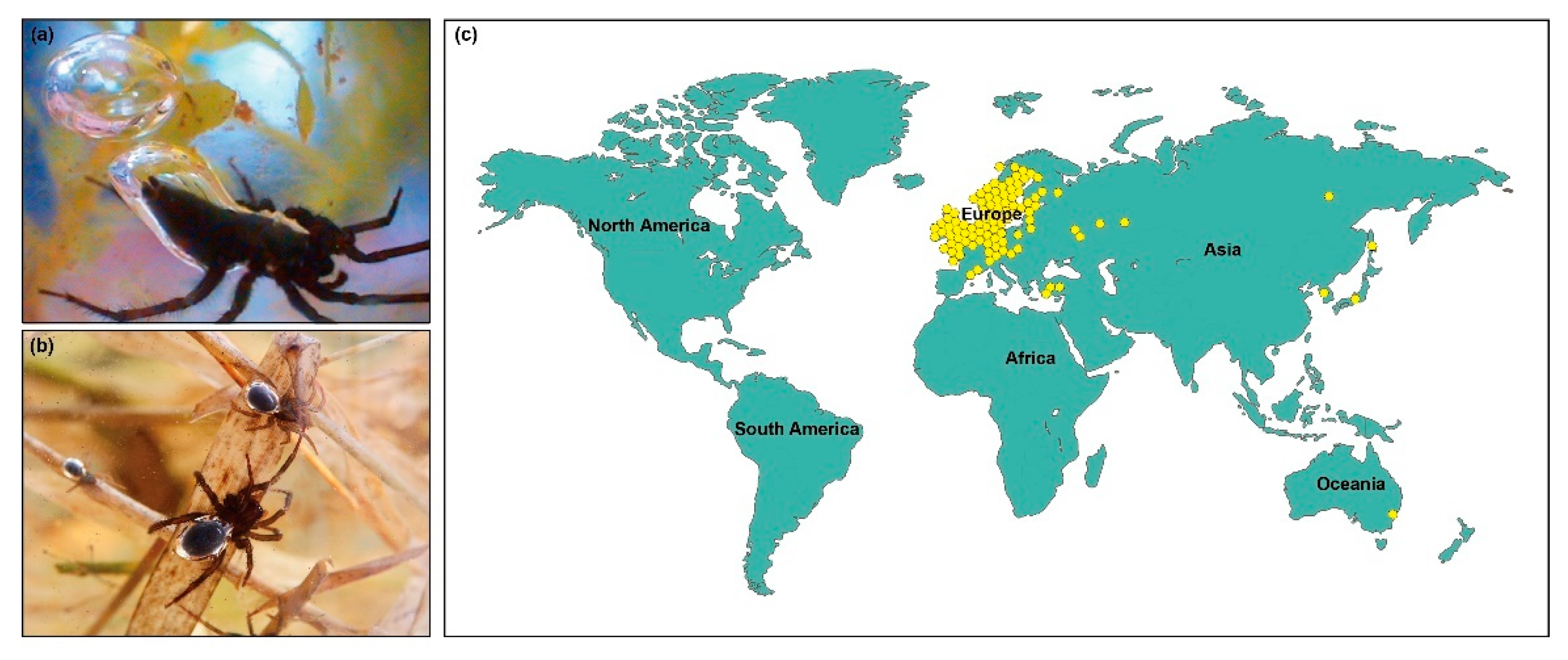 Sustainability 14 04988 g001