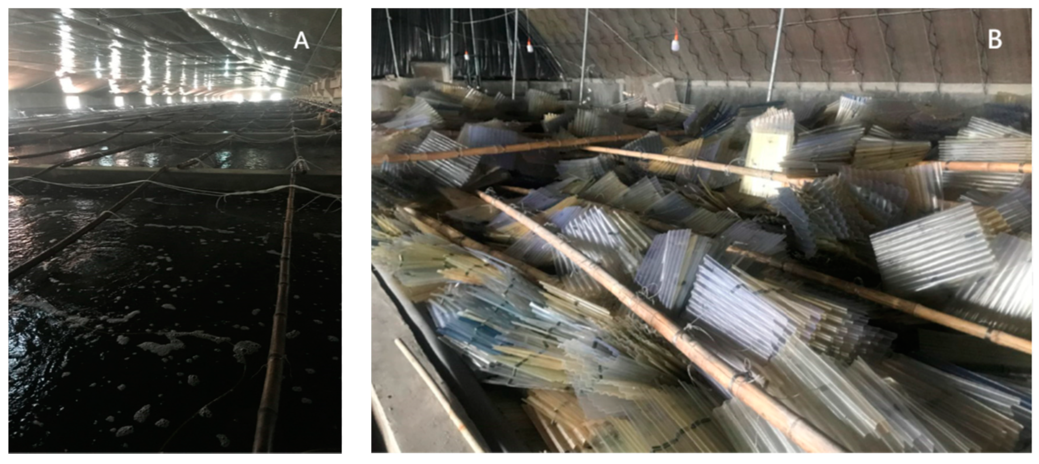 Sustainability 14 05202 g001