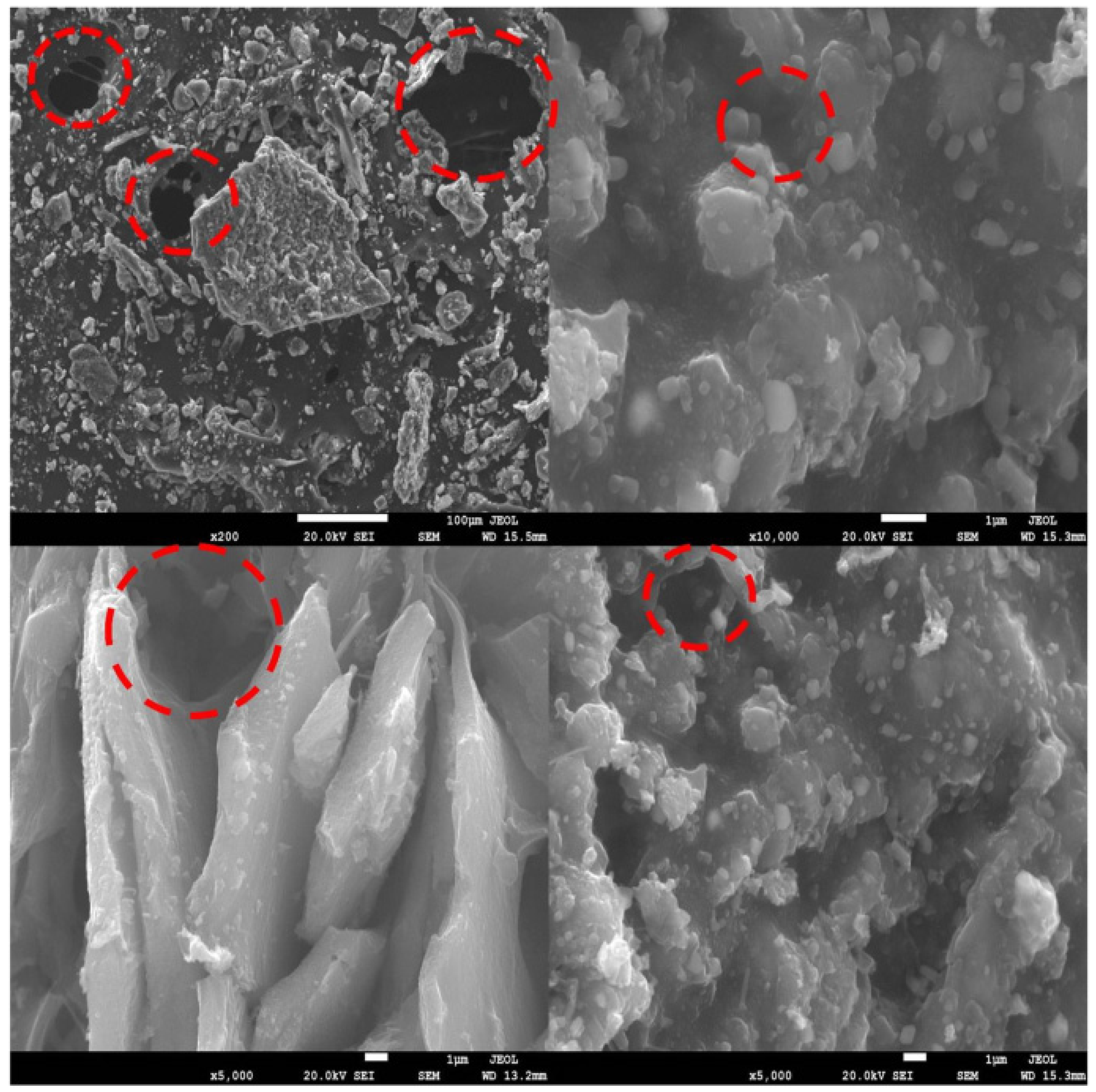 Sustainability 14 05309 g002