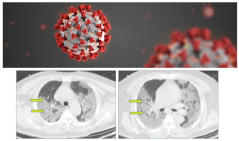 Sustainability 14 05325 i001 Sustainability 14 05325 i001