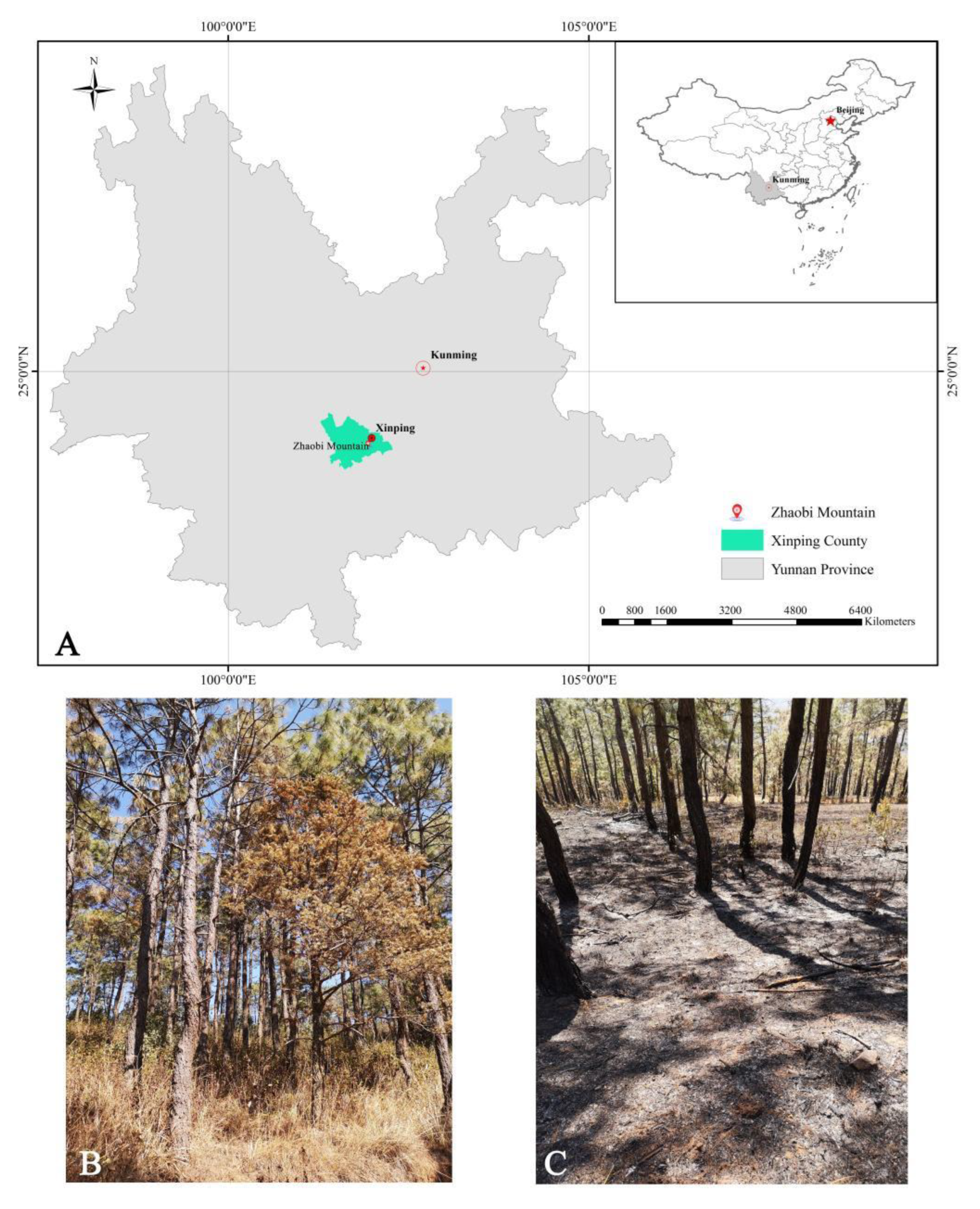 Sustainability 14 05375 g001