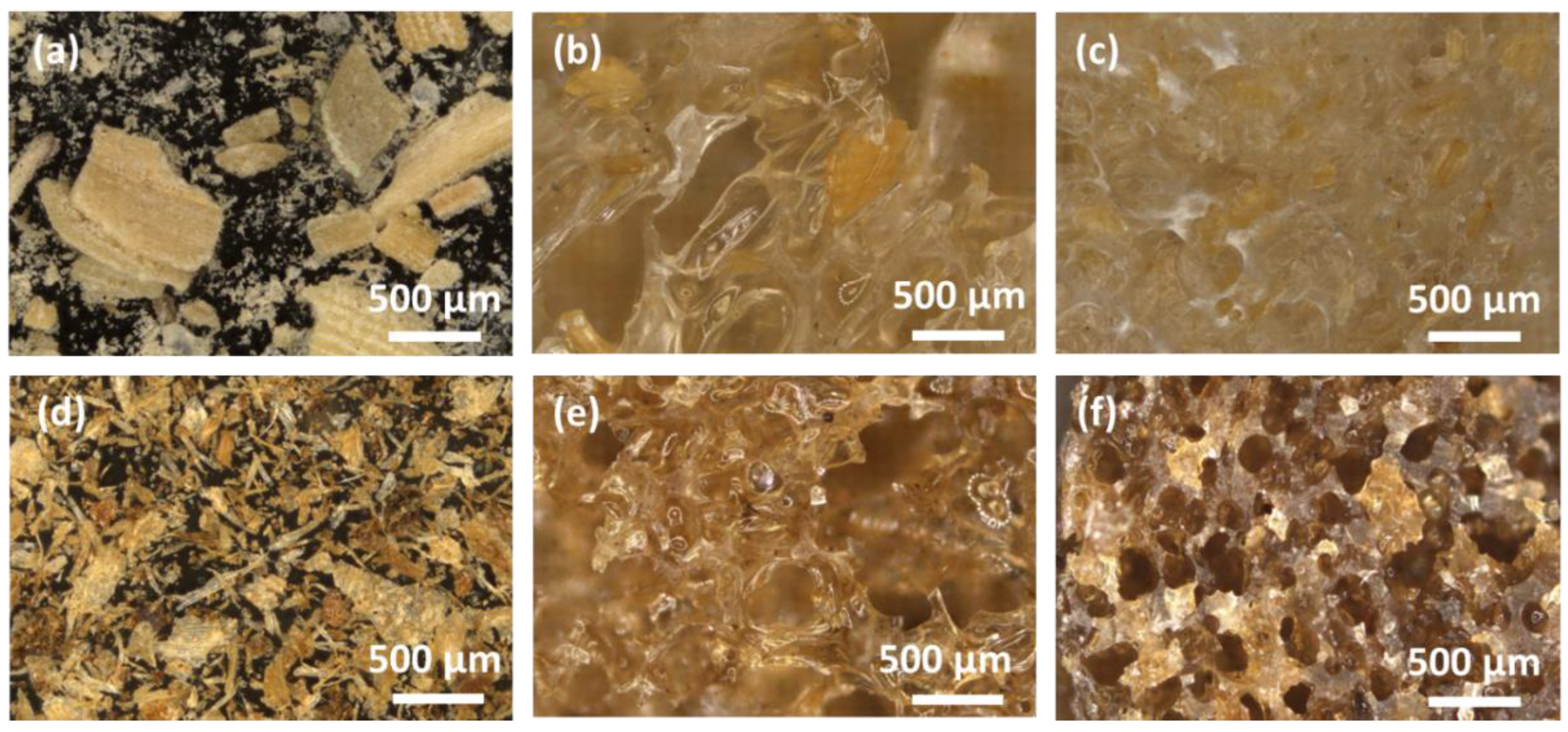 Sustainability 14 05521 g002