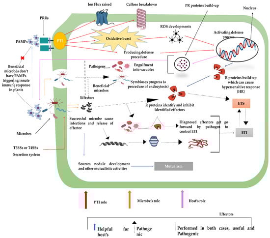 Sustainability 14 05574 g003