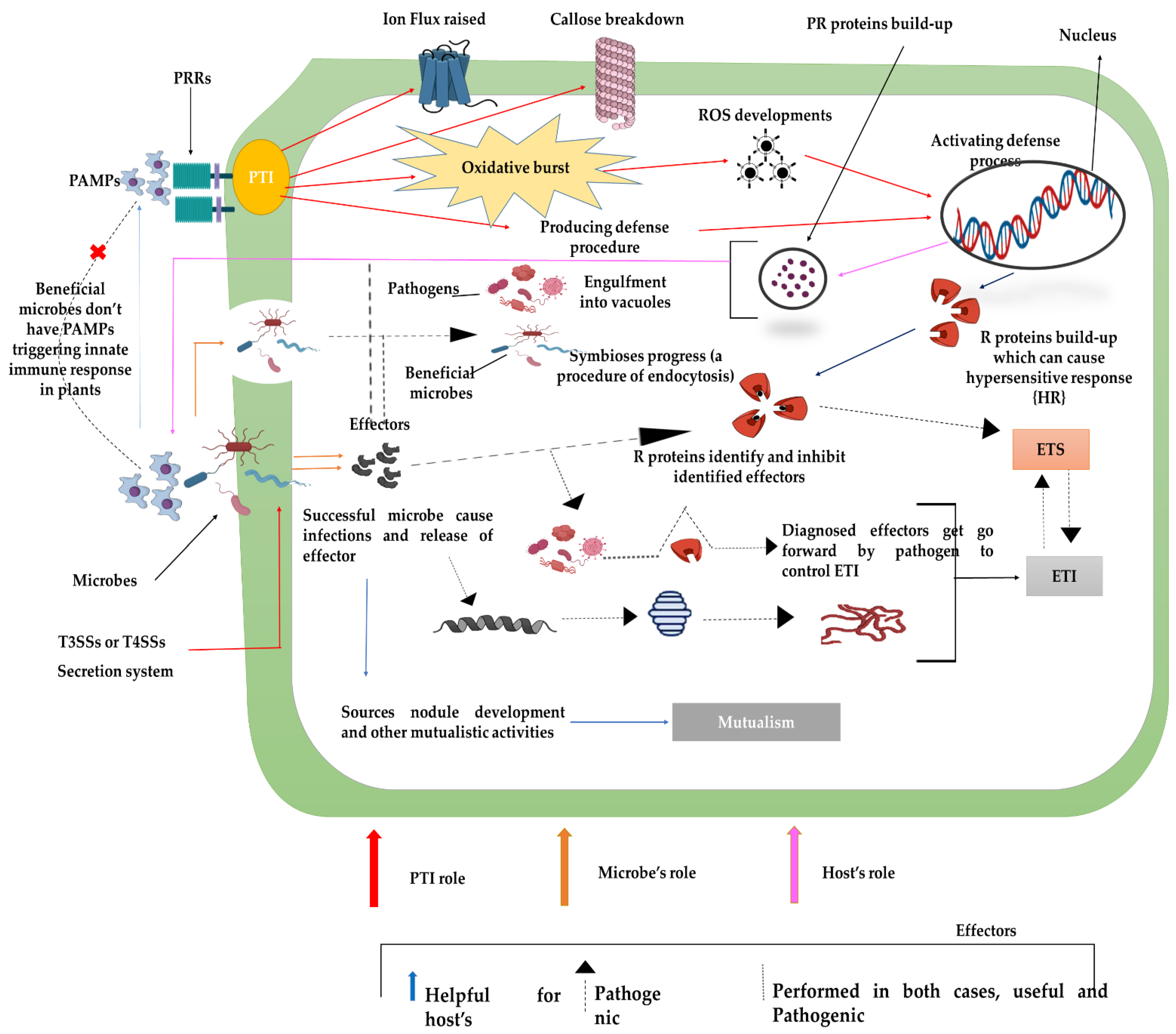 Sustainability 14 05574 g003
