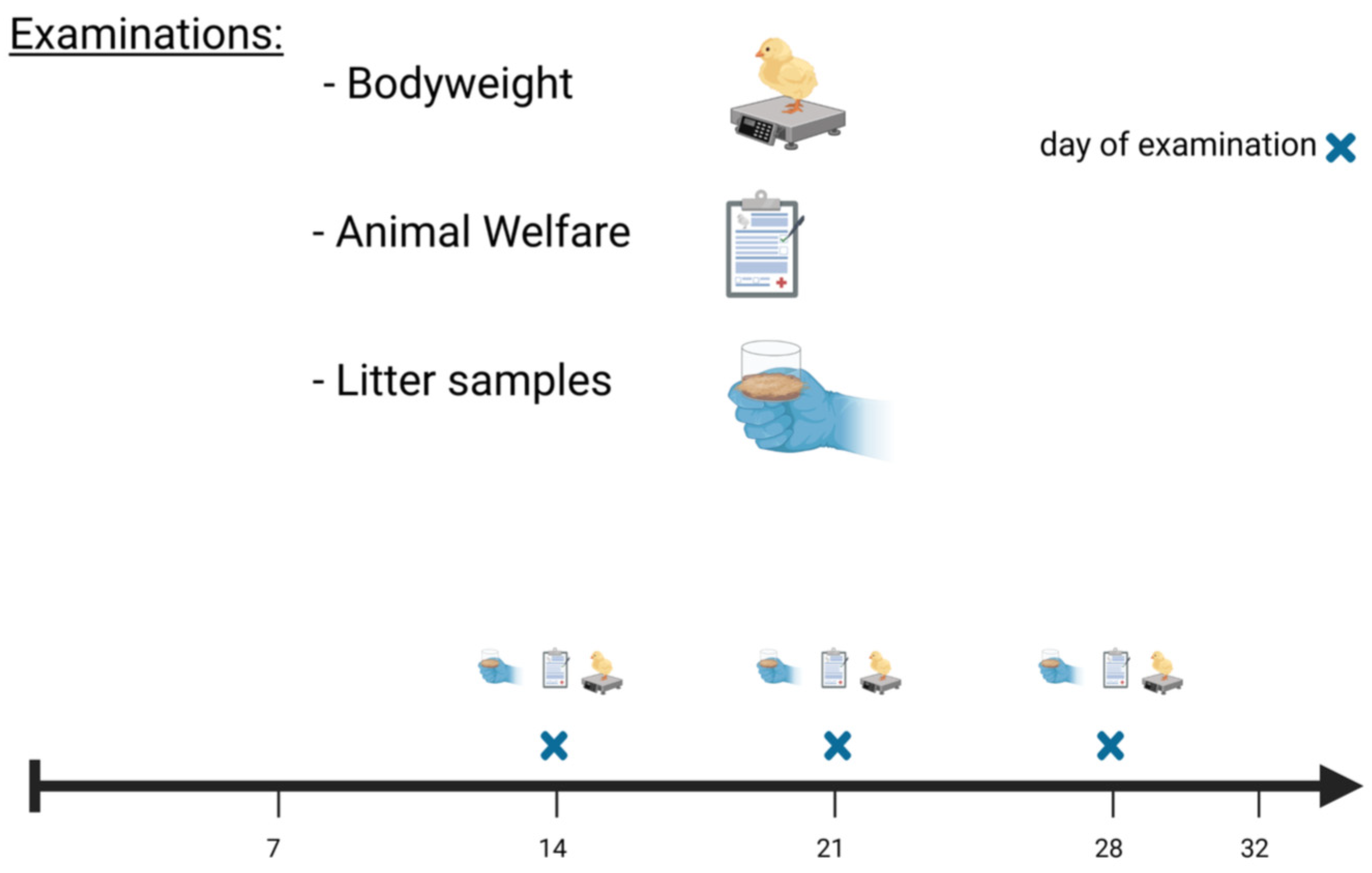 Sustainability 14 05727 g005