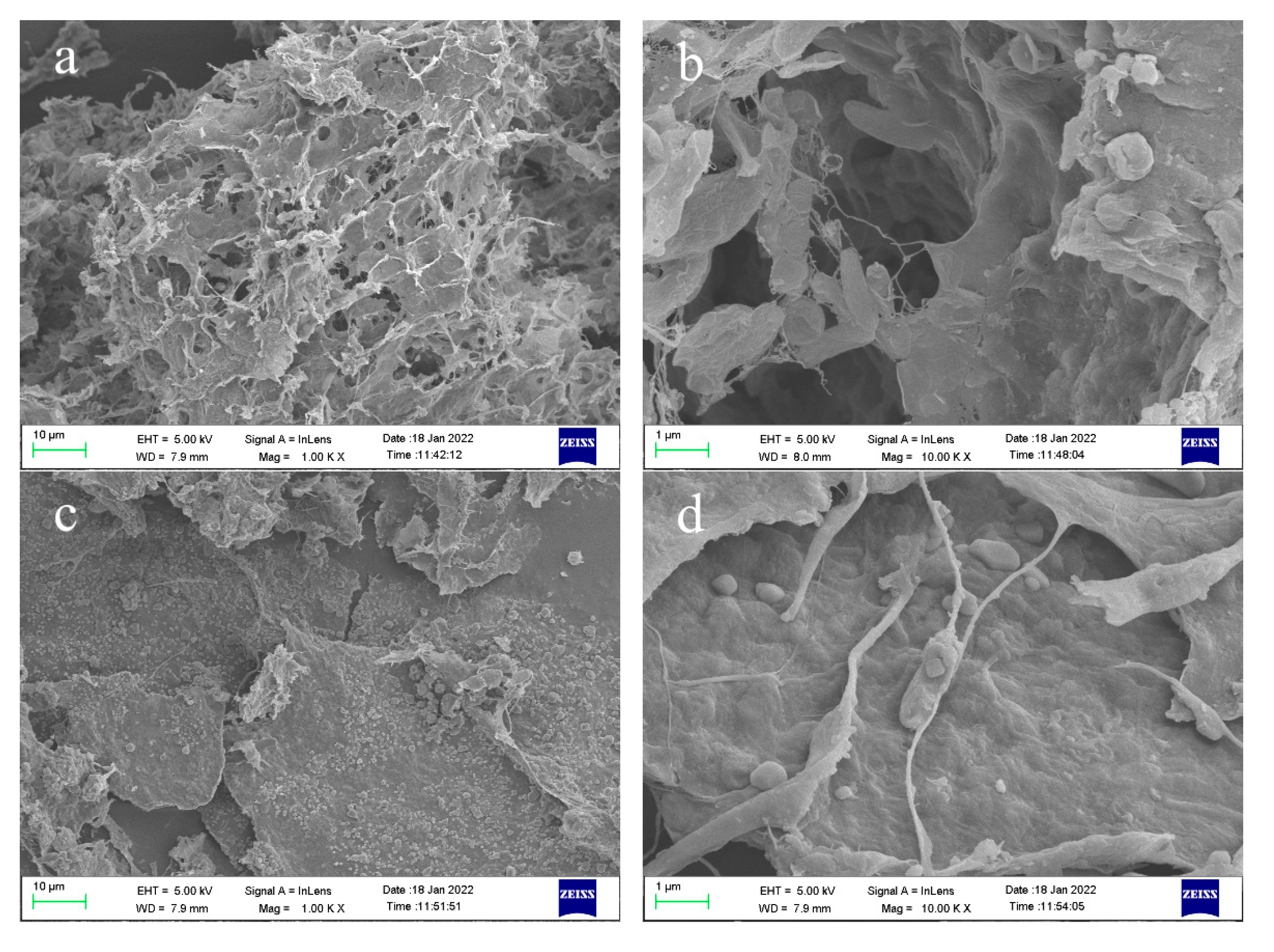 Sustainability 14 05743 g005a