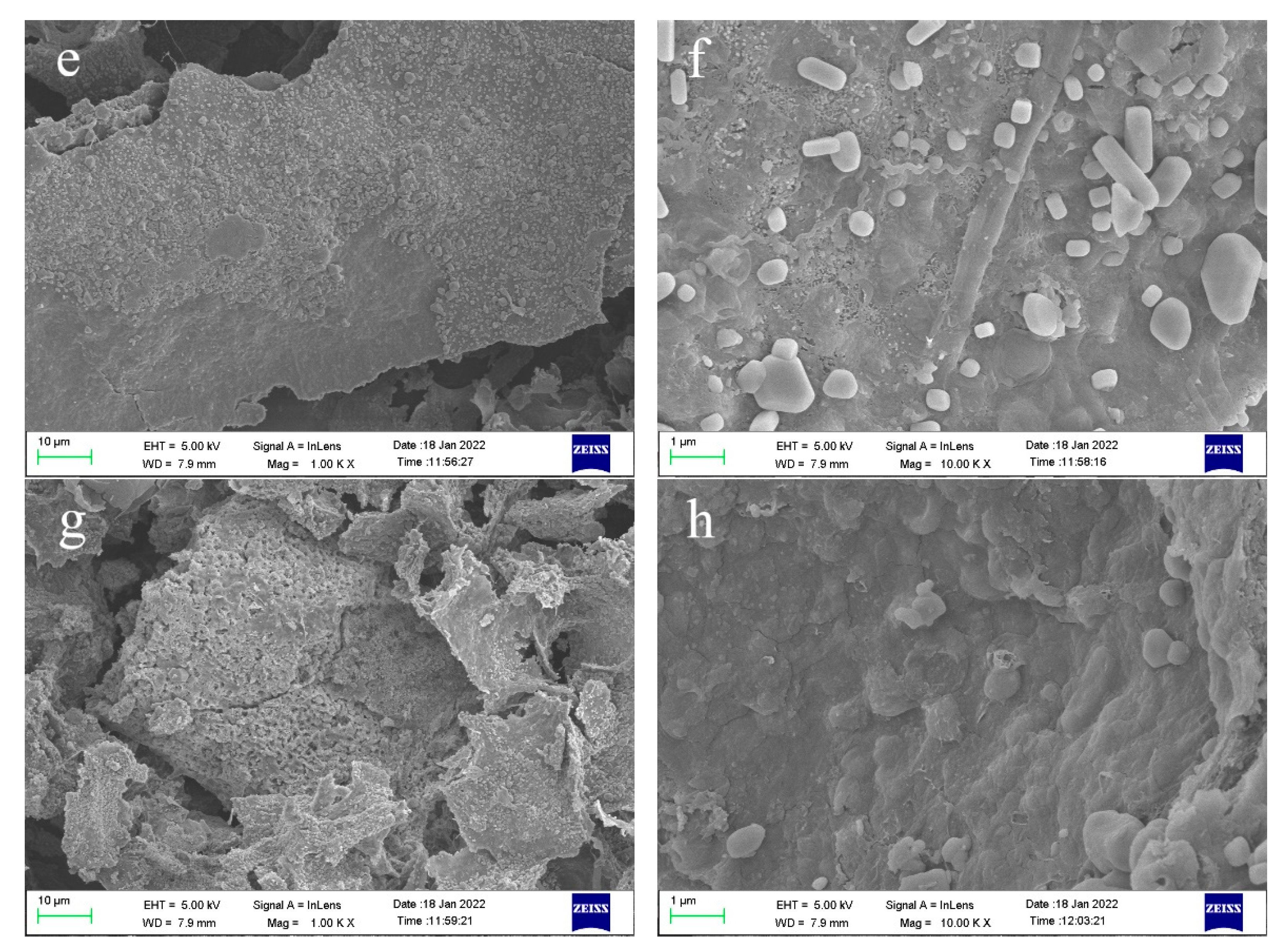 Sustainability 14 05743 g005b