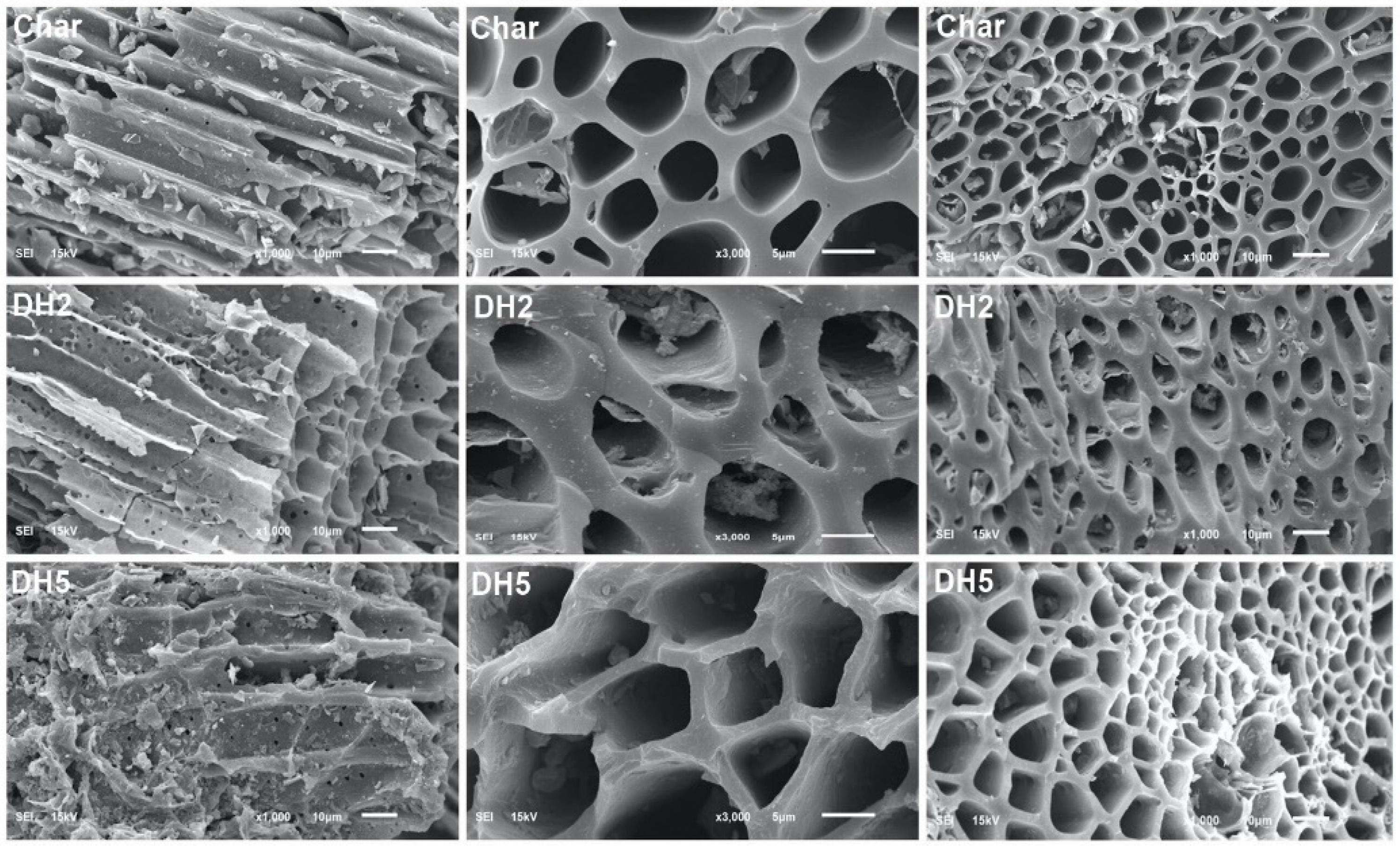 Sustainability 14 05896 g003