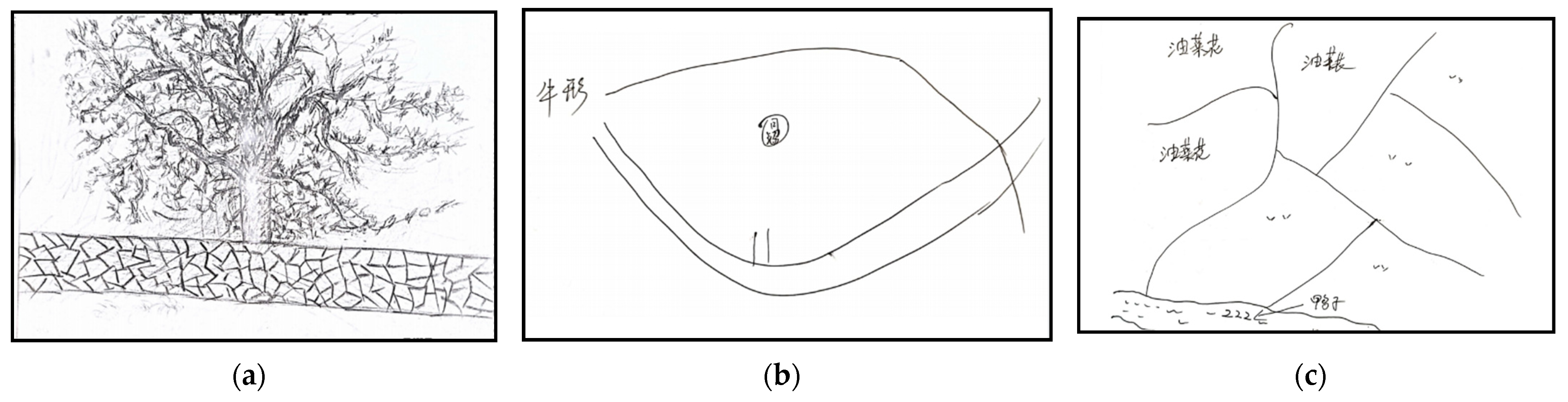 Sustainability 14 05977 g005