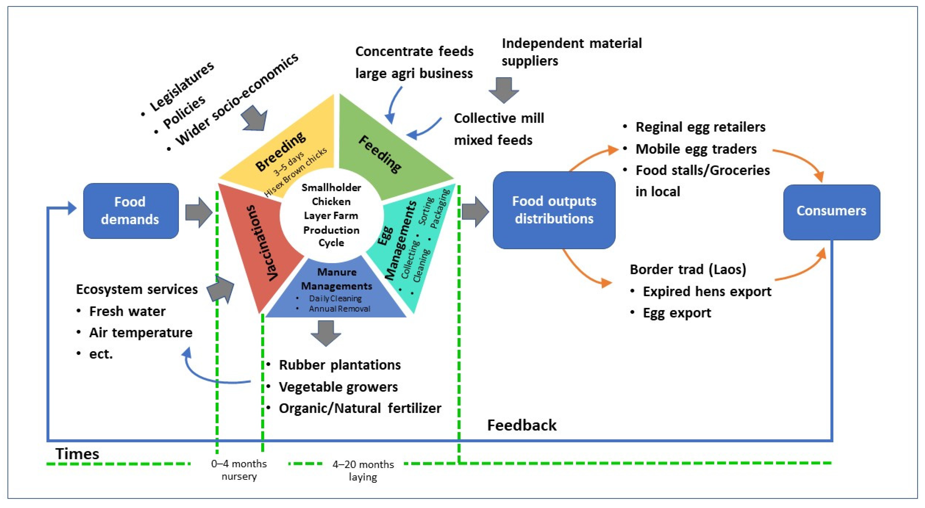Sustainability 14 05997 g001