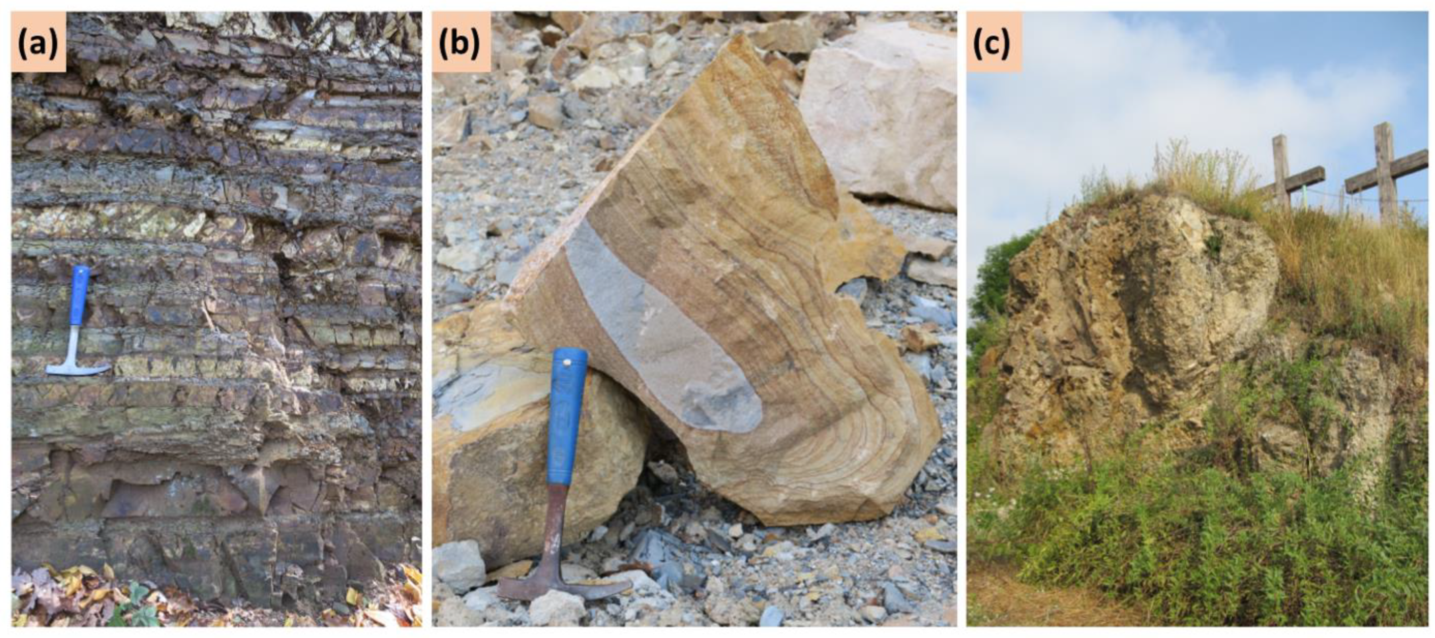 Sustainability 14 06043 g003