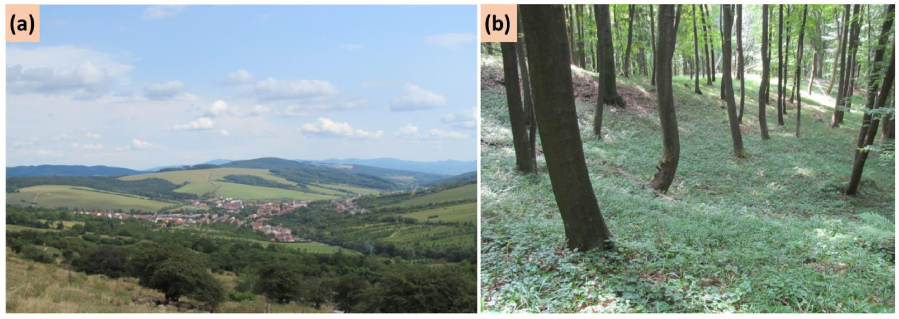 Sustainability 14 06043 g004