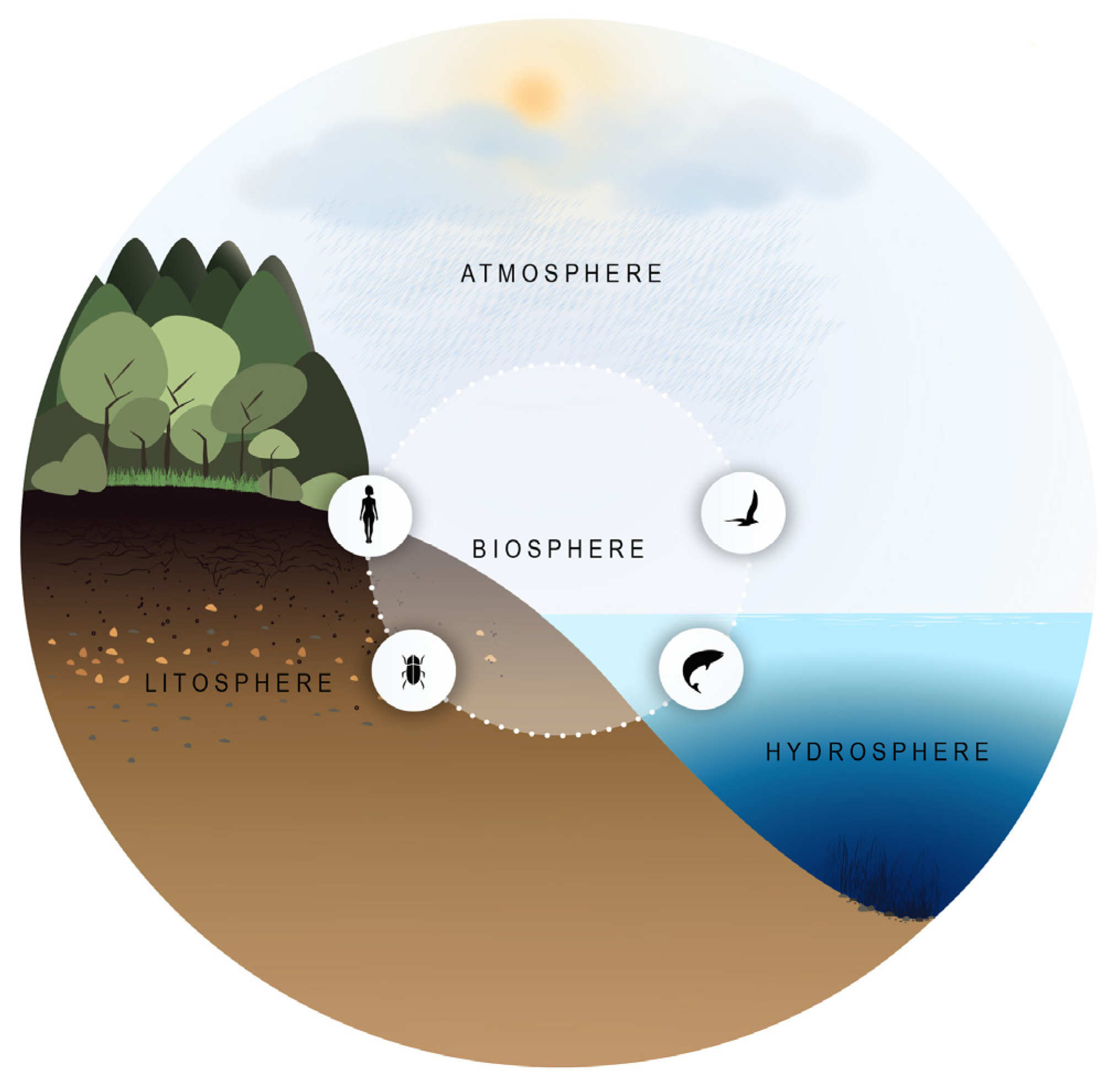 Sustainability 14 06062 g013
