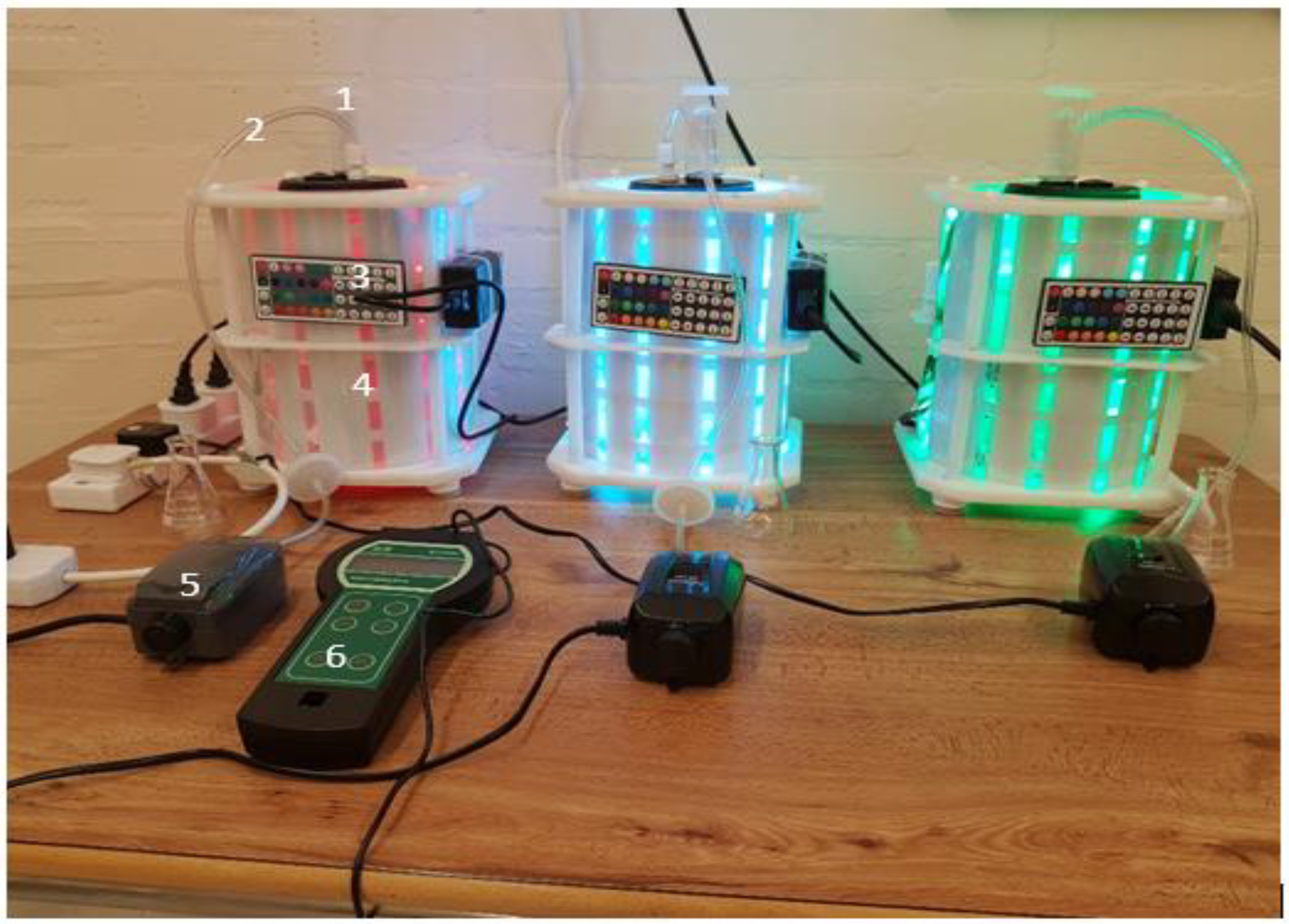 Sustainability 14 06108 g001