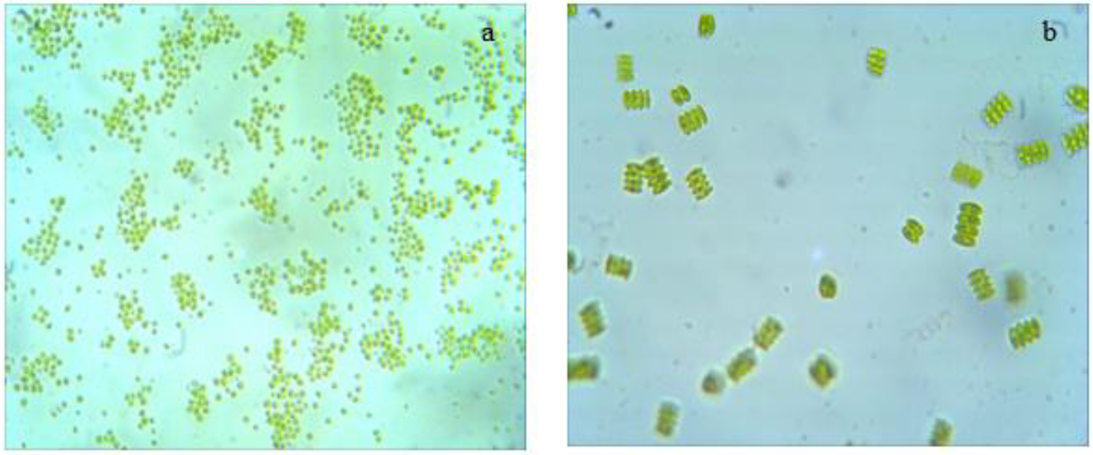 Sustainability 14 06108 g002