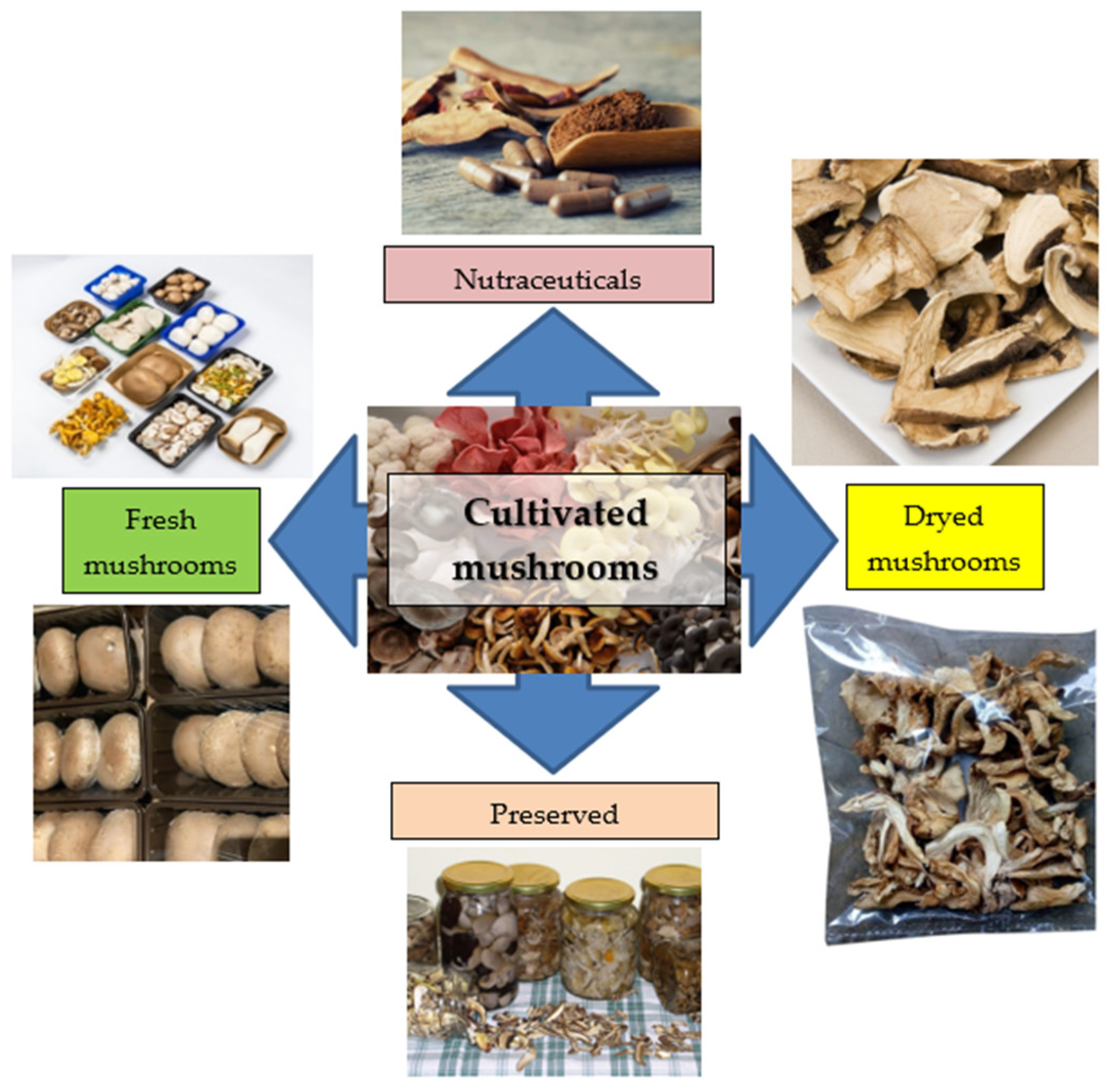 Sustainability 14 06166 g001