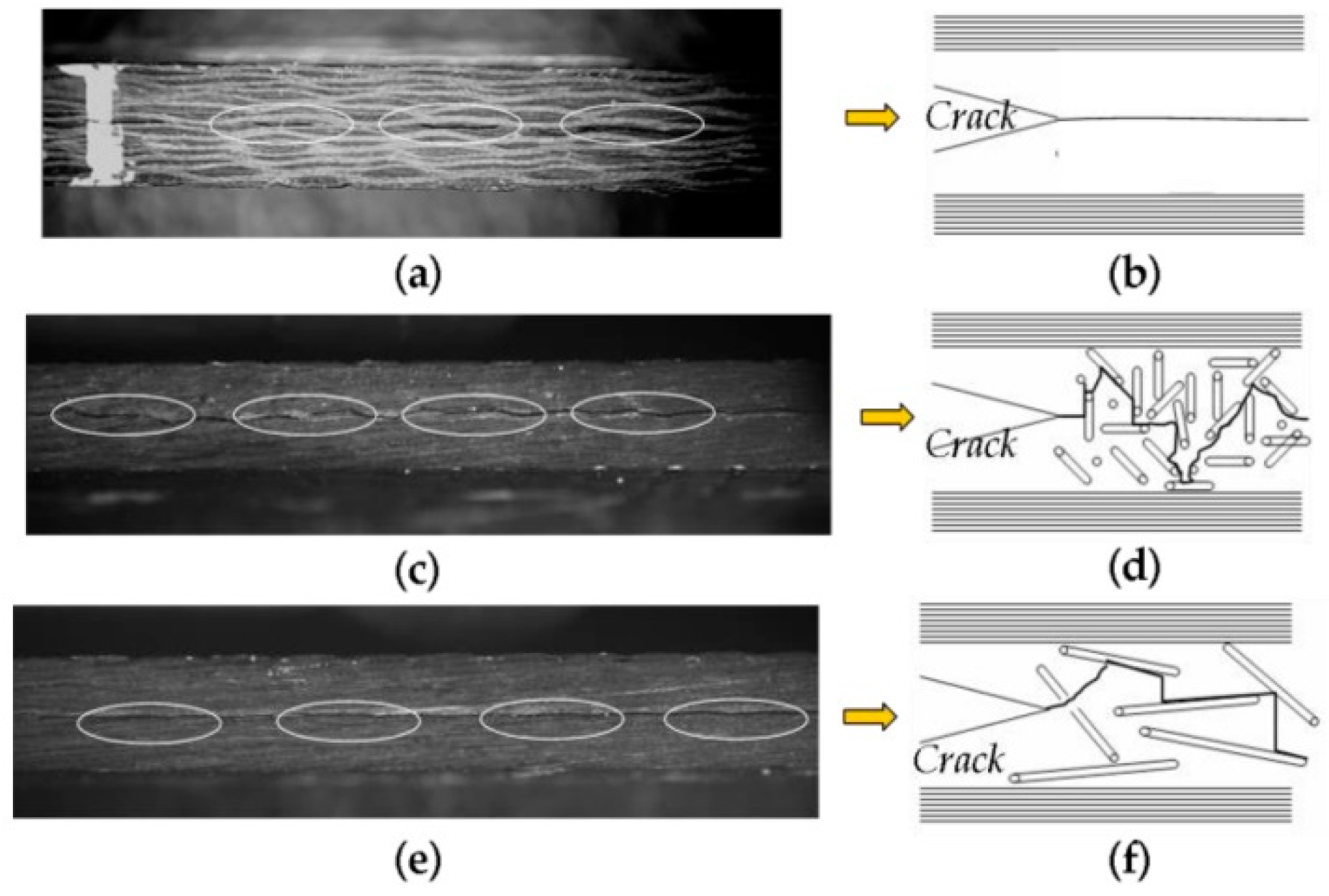 Sustainability 14 06215 g005