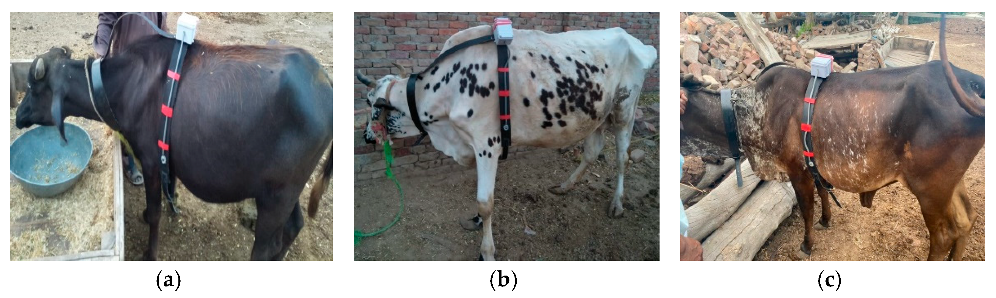 Sustainability 14 06249 g019