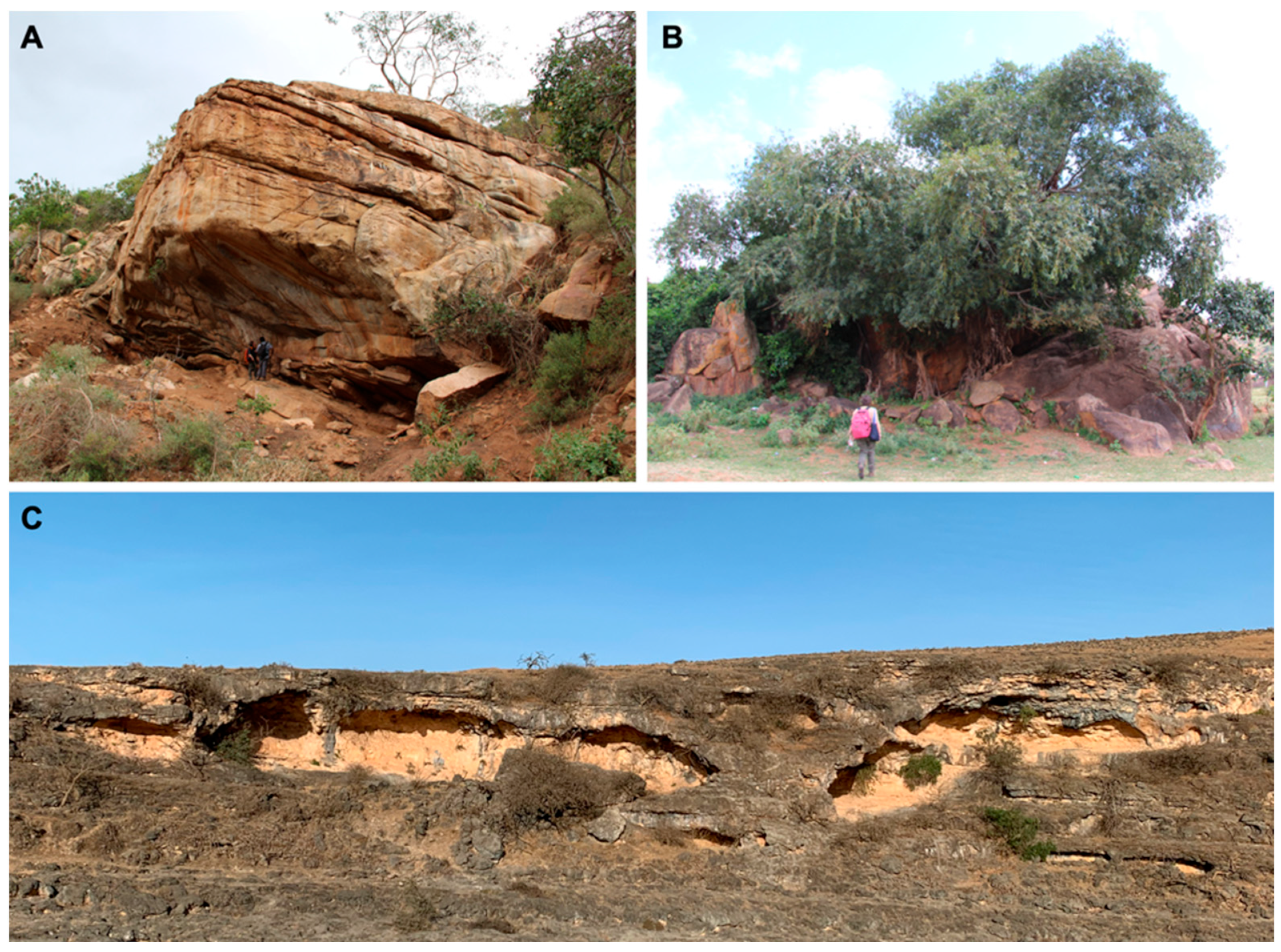 Sustainability 14 06305 g003