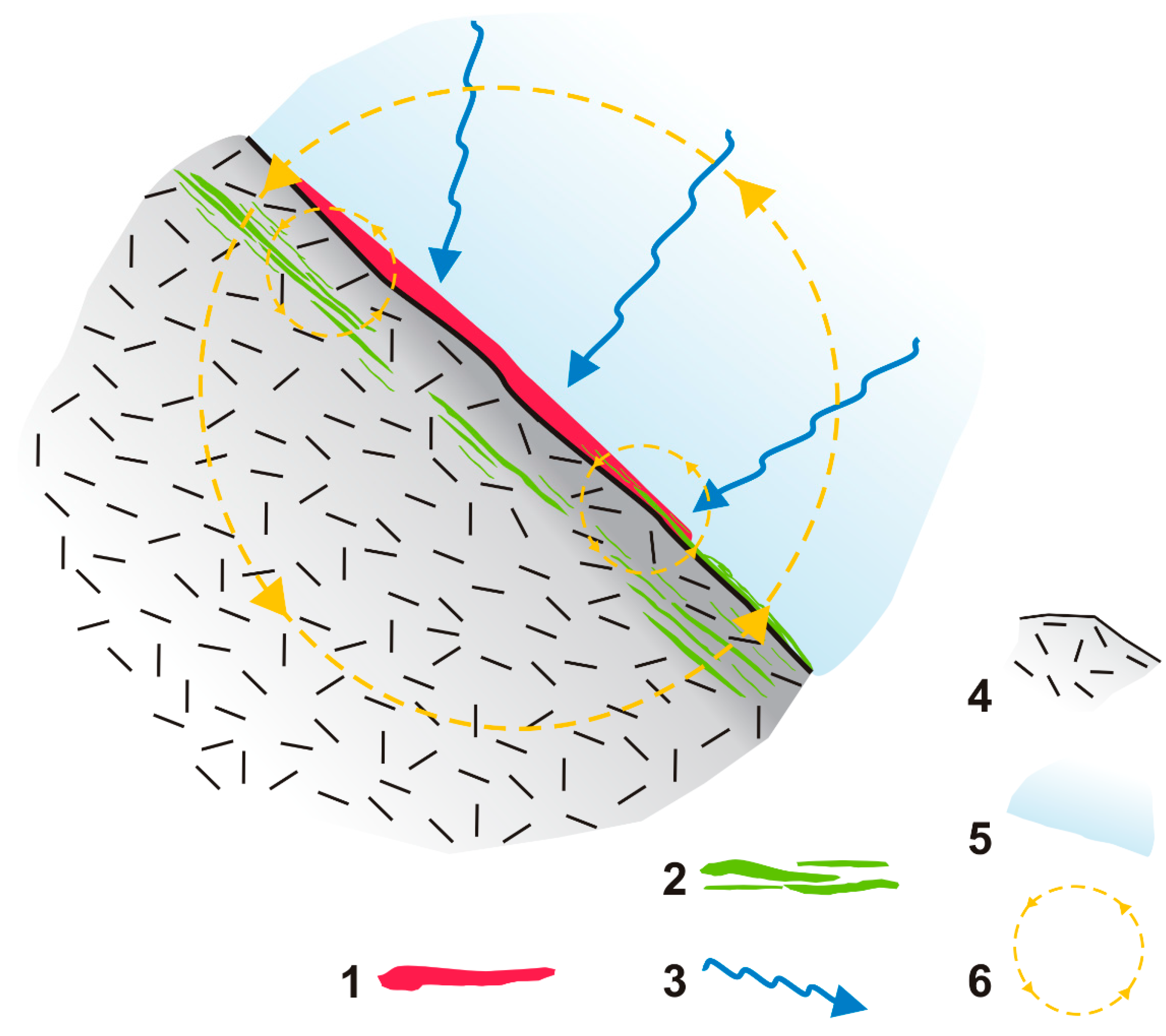 Sustainability 14 06305 g005