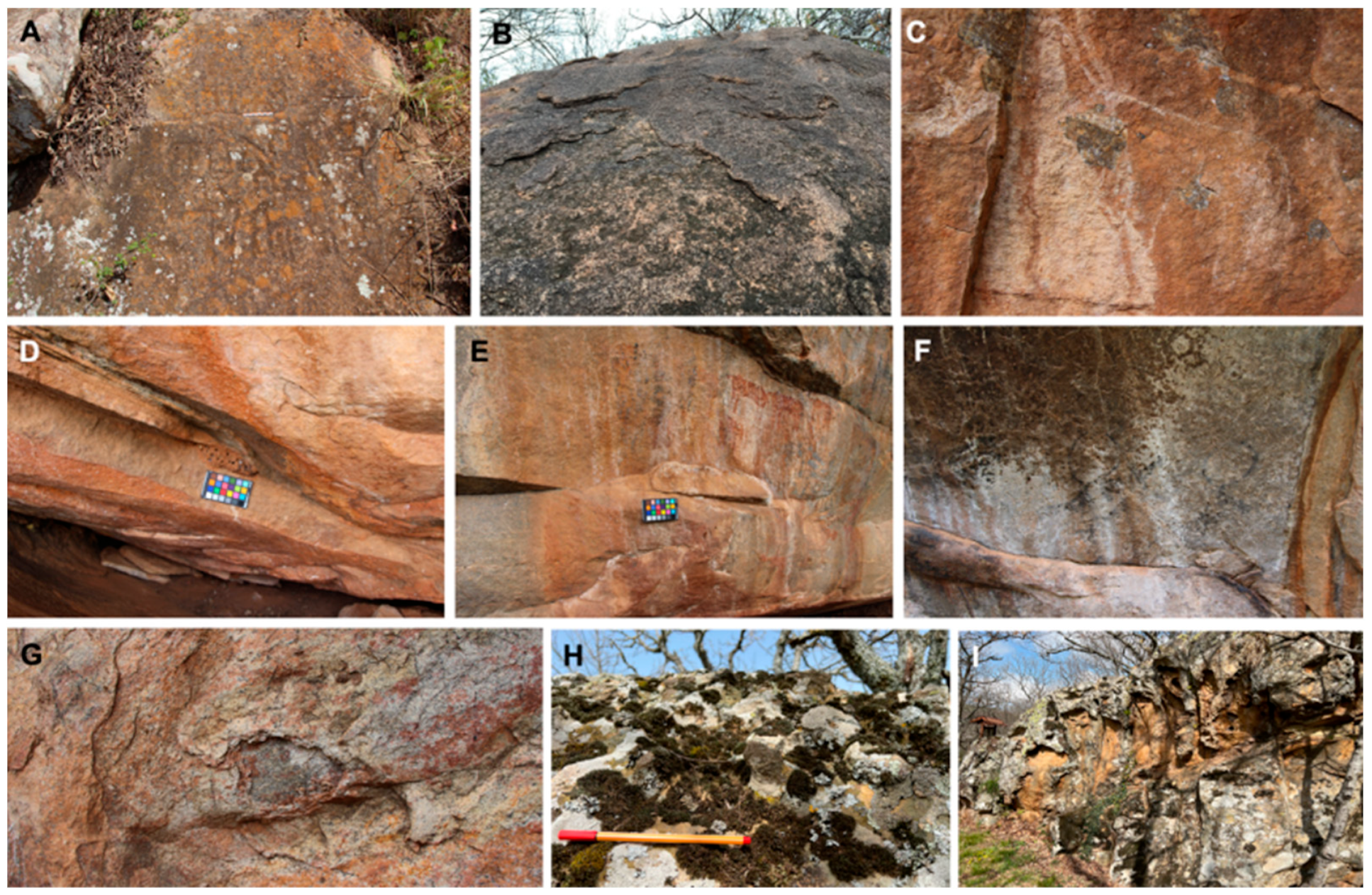 Sustainability 14 06305 g006