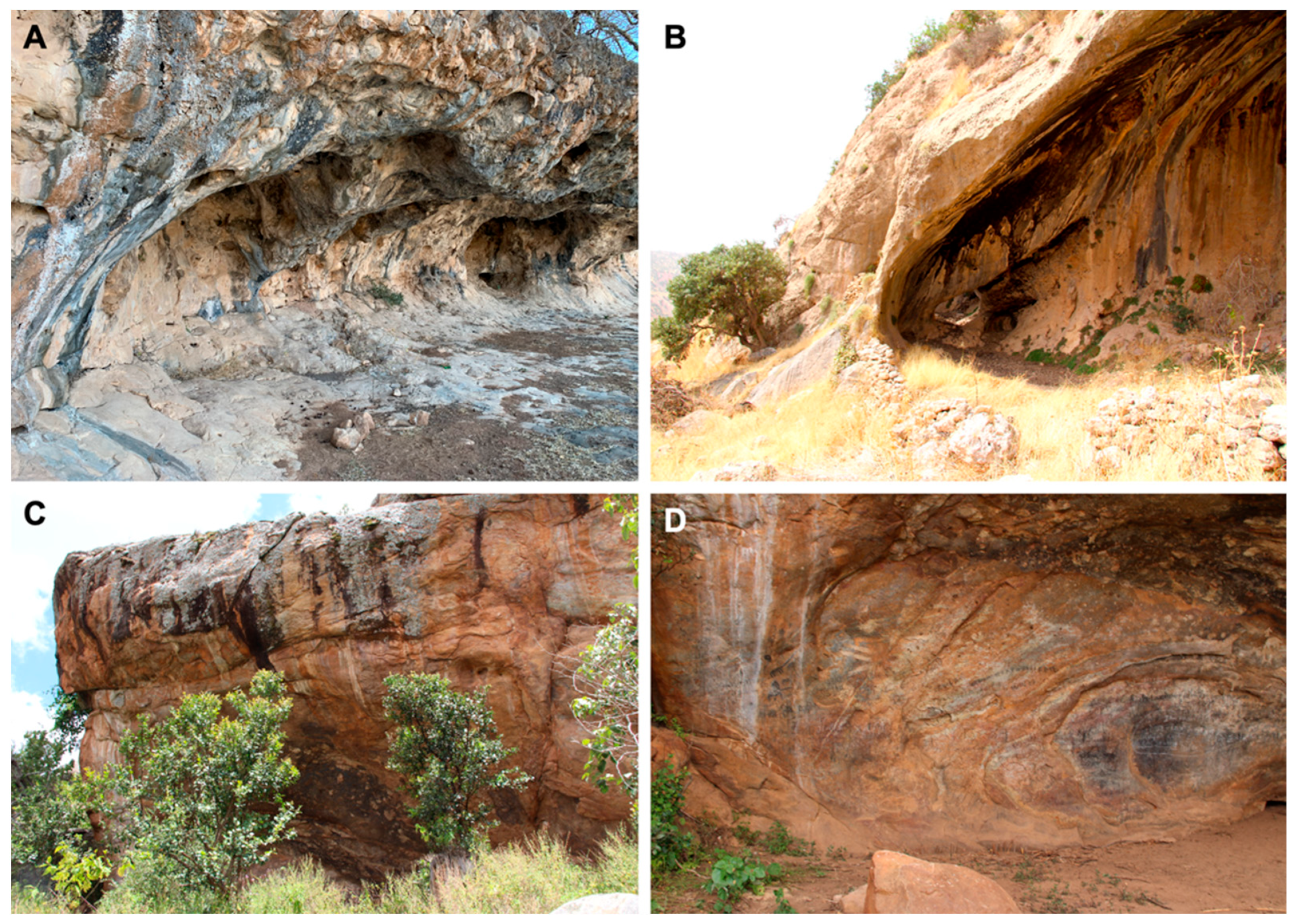 Sustainability 14 06305 g007