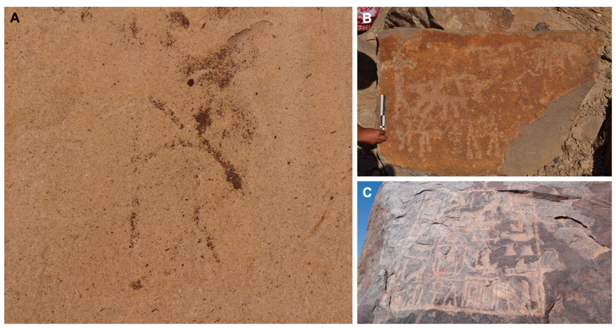 Sustainability 14 06305 g008