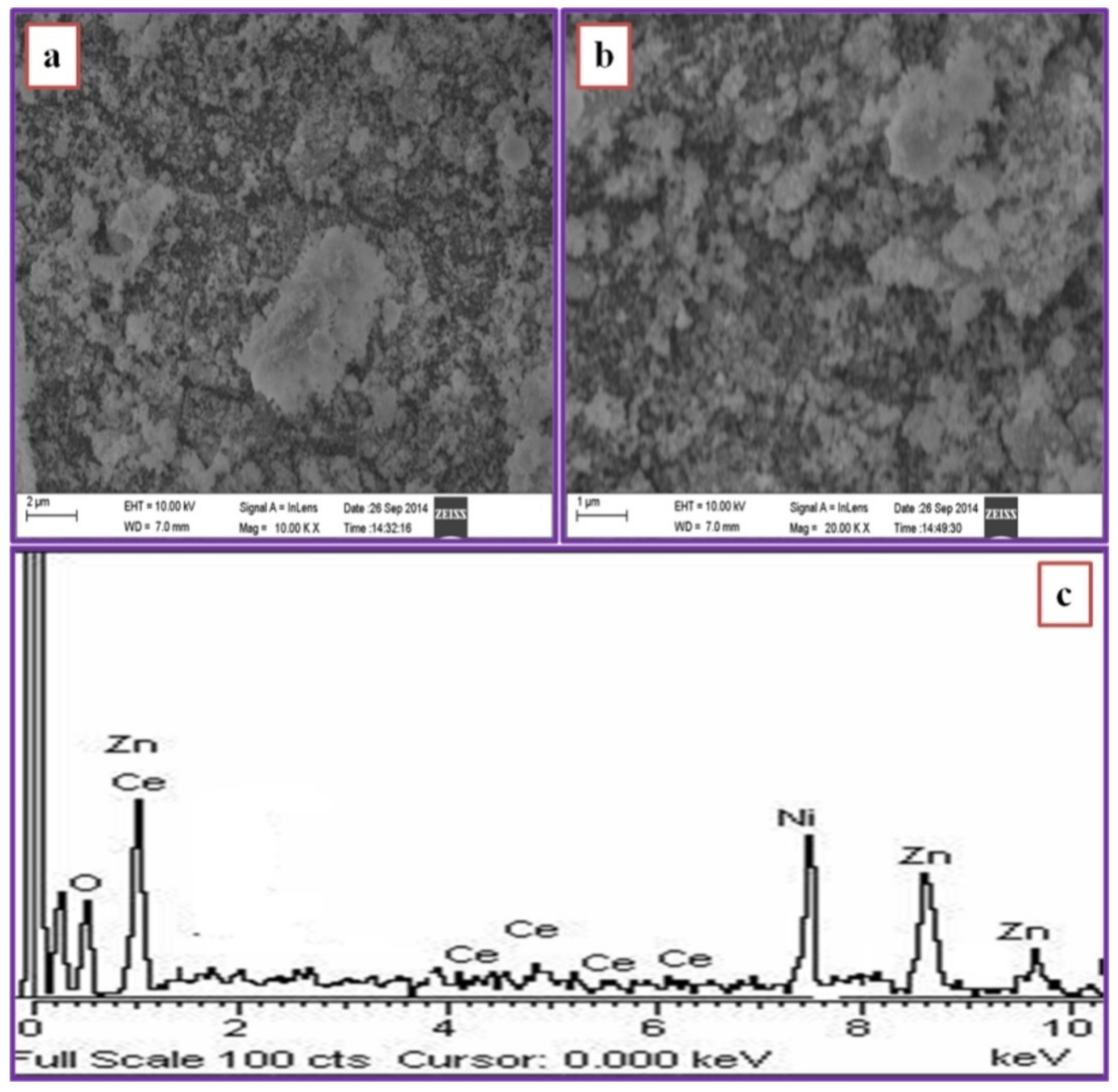 Sustainability 14 06353 g006