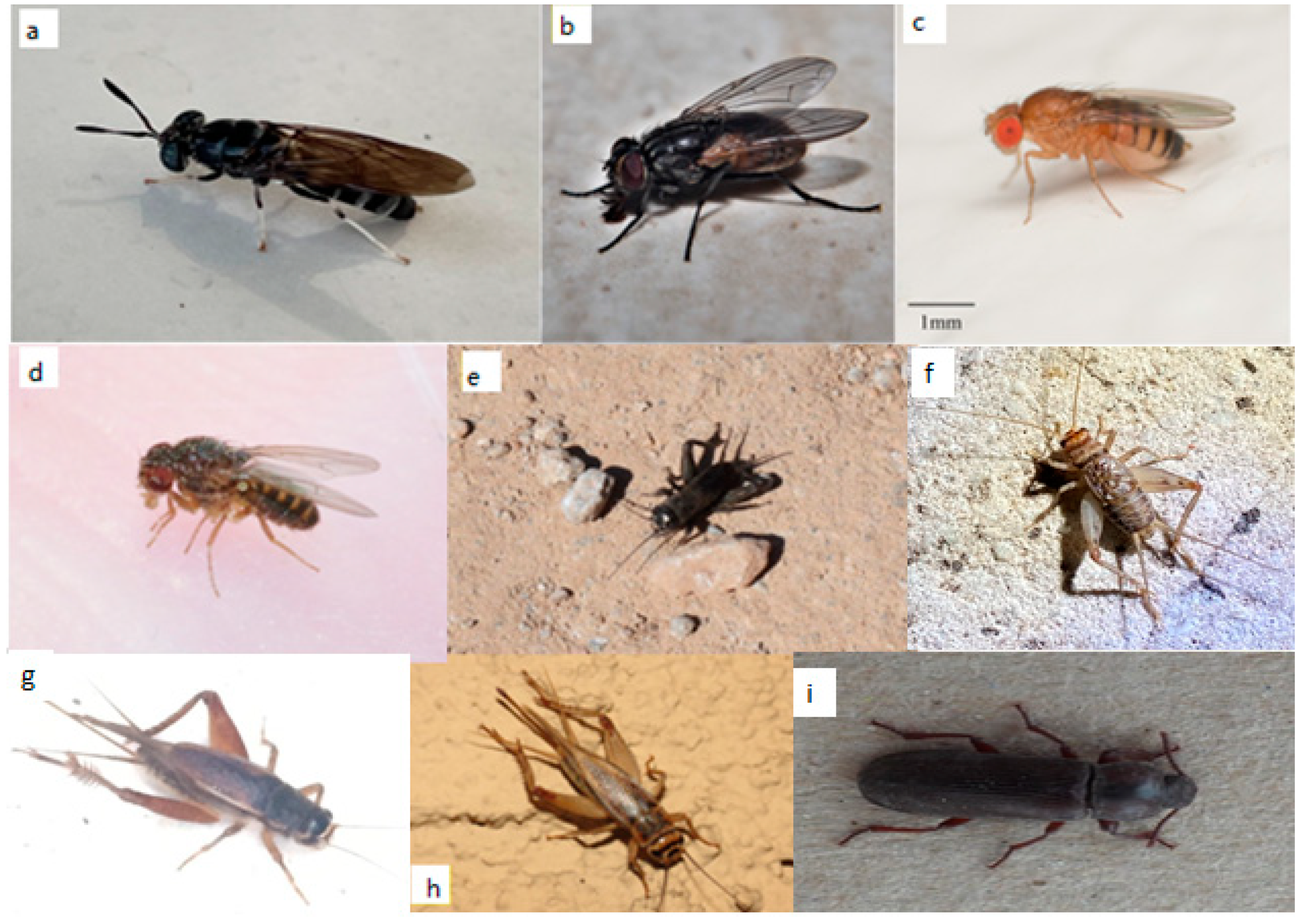 Sustainability 14 06361 g0a1