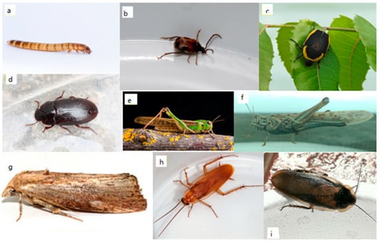 Sustainability 14 06361 g0a2