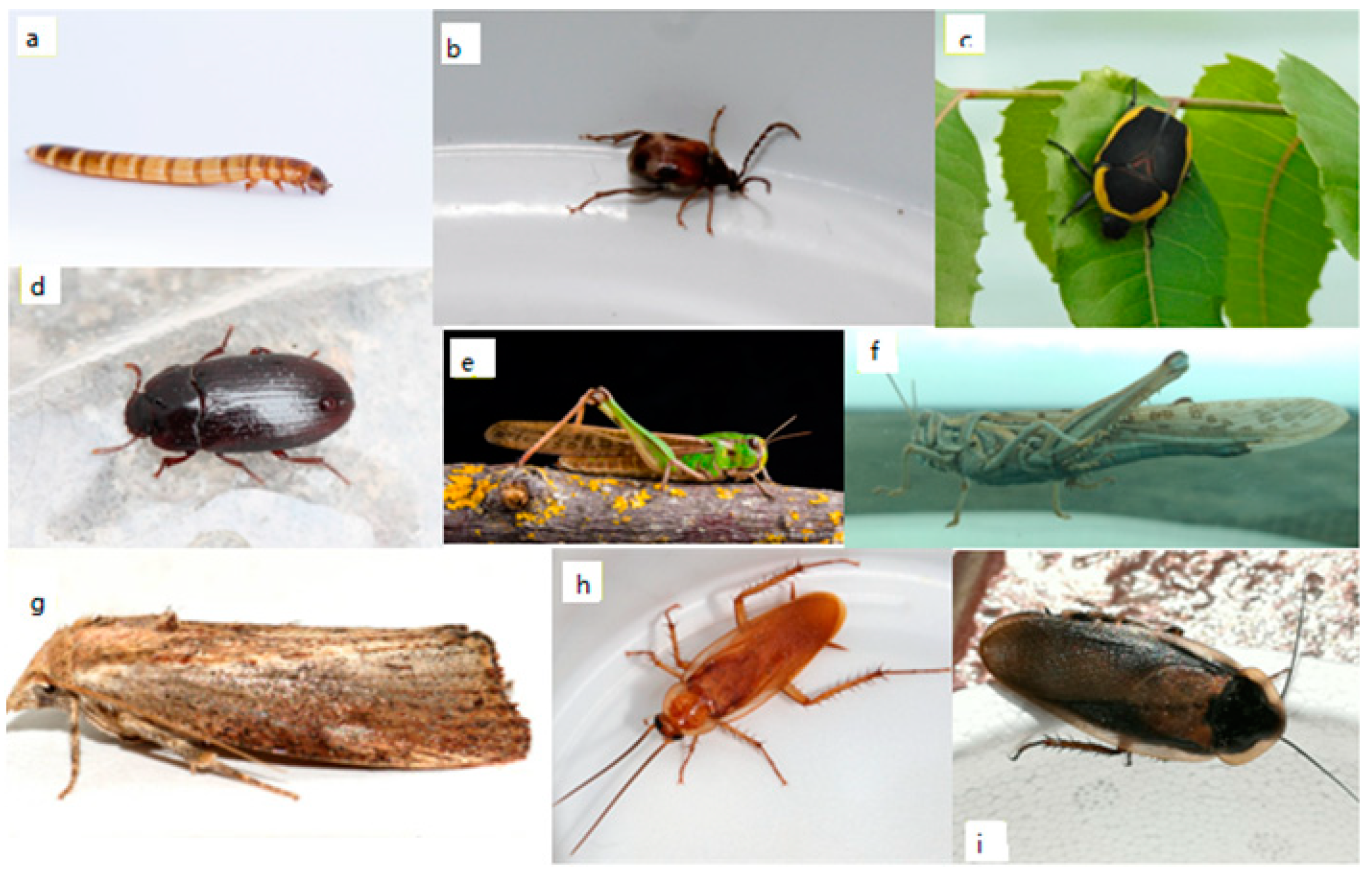 Sustainability 14 06361 g0a2