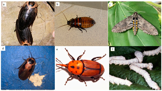 Sustainability 14 06361 g0a3