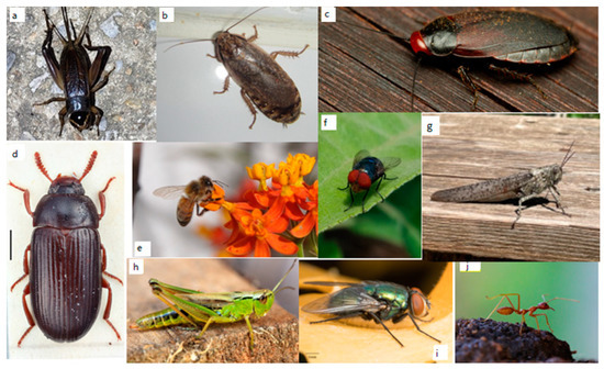 Sustainability 14 06361 g0a4