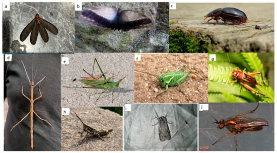 Sustainability 14 06361 g0a5