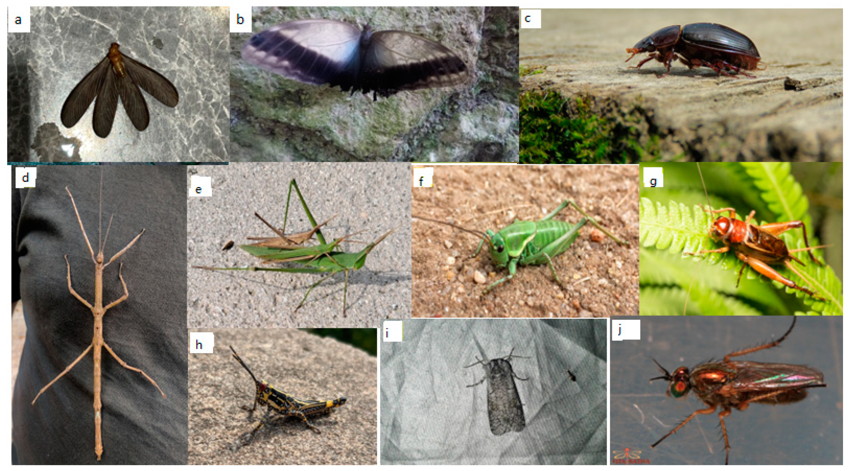 Sustainability 14 06361 g0a5