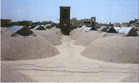 Sustainability 14 06363 i003